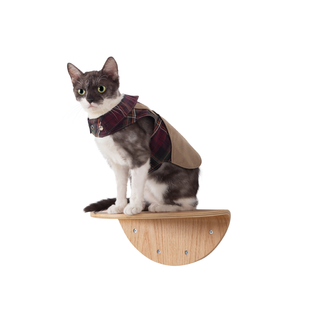 MYZOO ROUND LACK OAK キャットステップ/キャットウォーク 壁付けタイプで据え置きタイプのキャットタワーより省スペース。室内飼育猫の運動不足解消に。シンプルでかわいいデザインでお部屋のインテリアに損ないません。