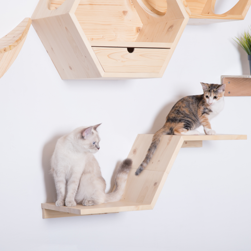 キャットステップ 壁付け 階段 猫用 猫ステップ キャットウォーク 壁 手作り 猫 幅40cm 棚板 棚 キャットタワー 木製 木 diy ベッド 足場