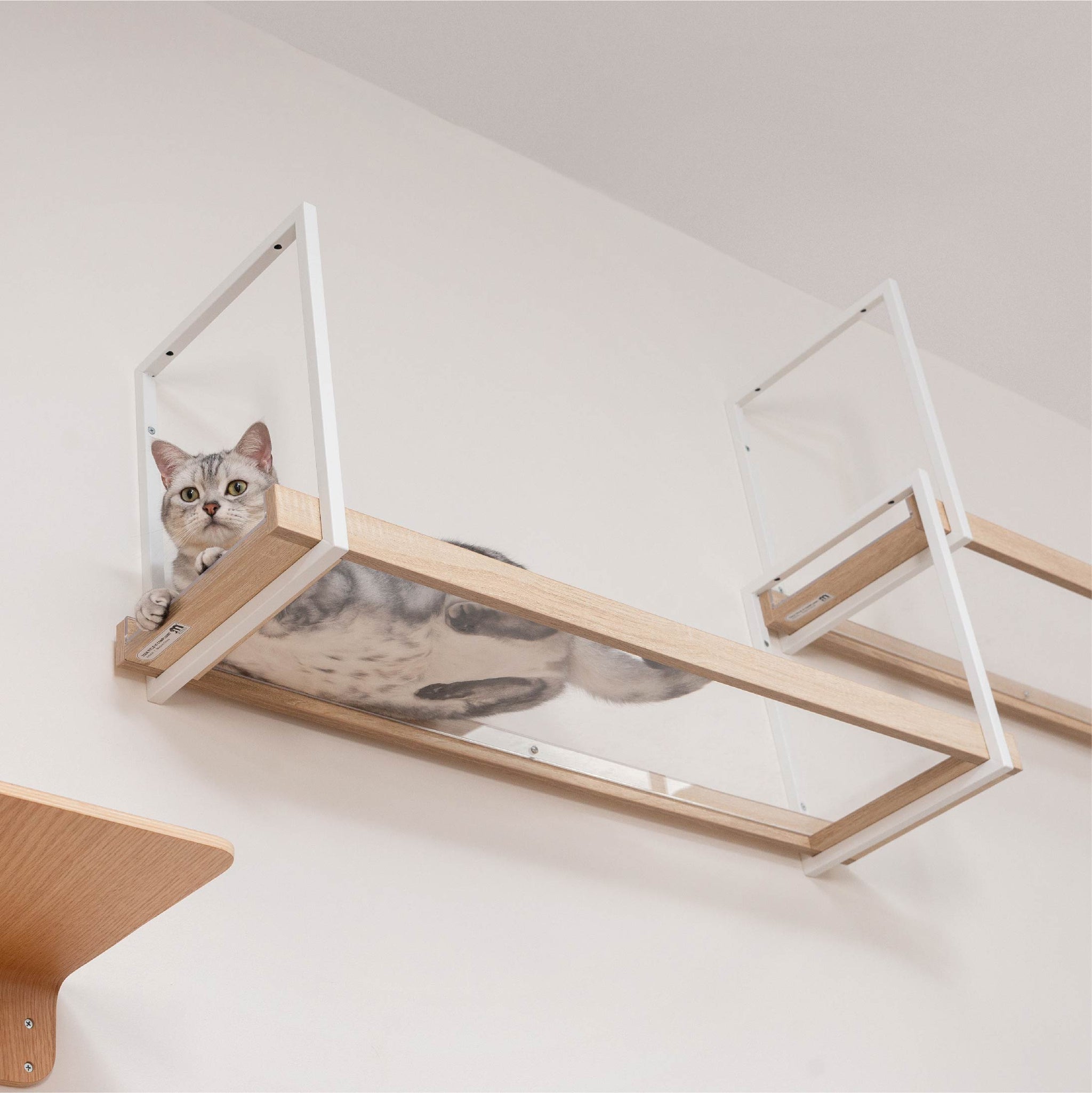 キャットステップ/ウォールシェルフ】MYZOO-AVENUE/クリア 
