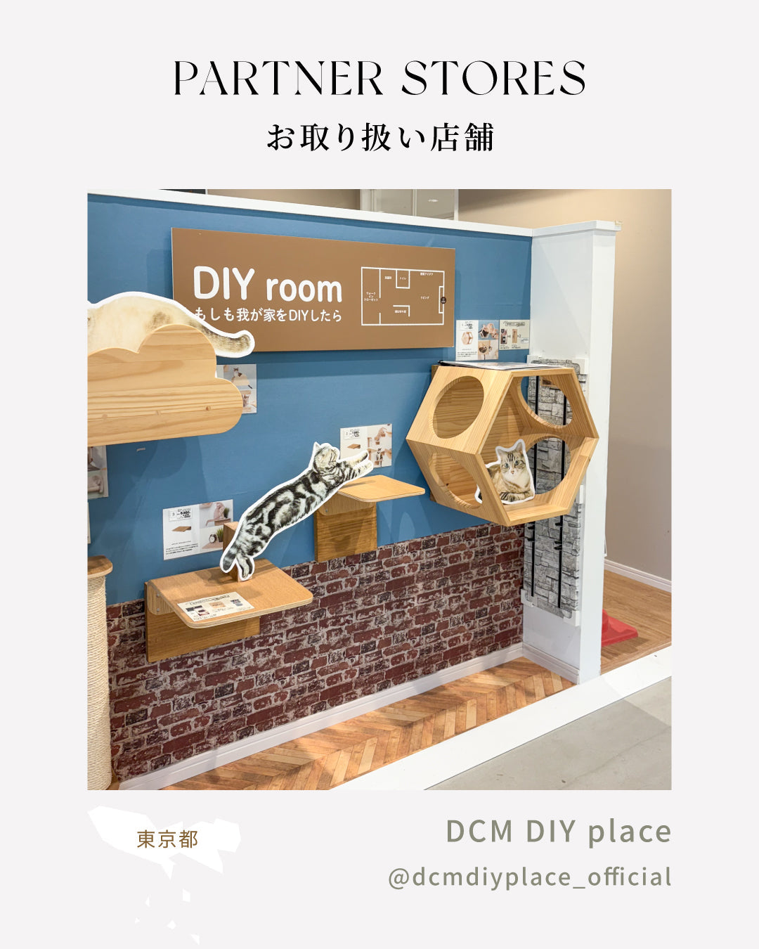 MYZOO取扱店舗情報｜DCM DIY place（東京・恵比寿）