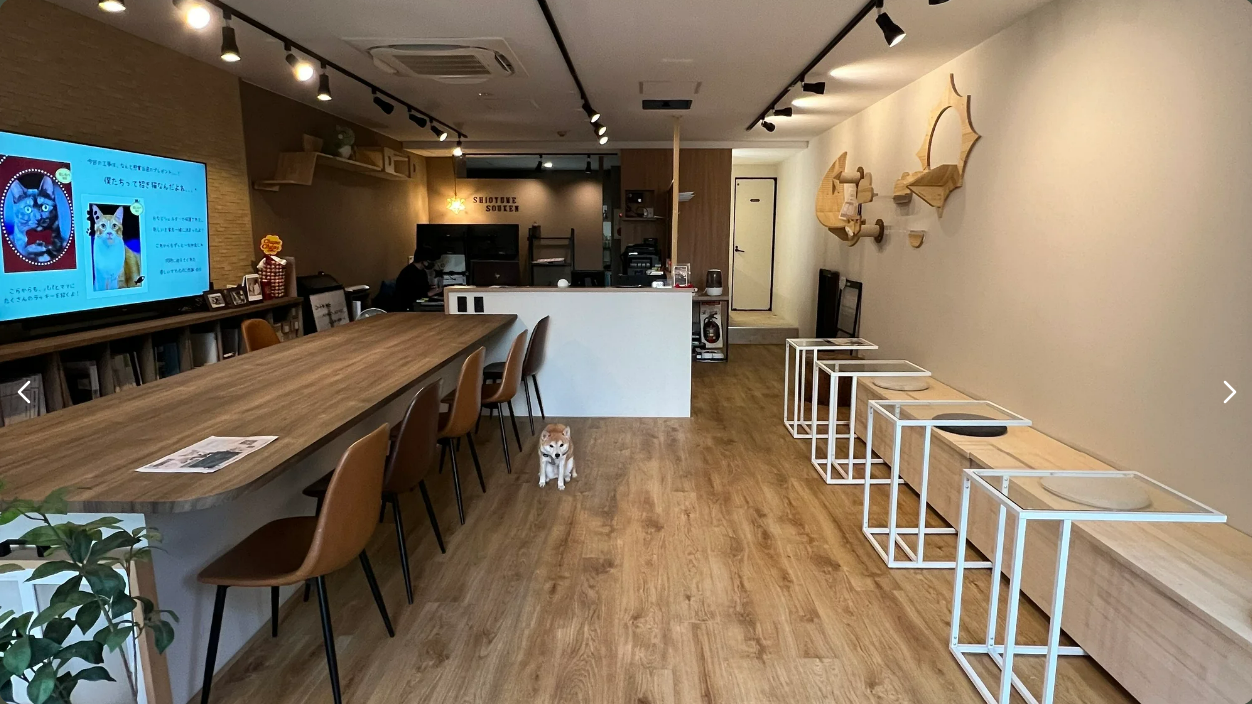 Shioyume Renovation-Cafe