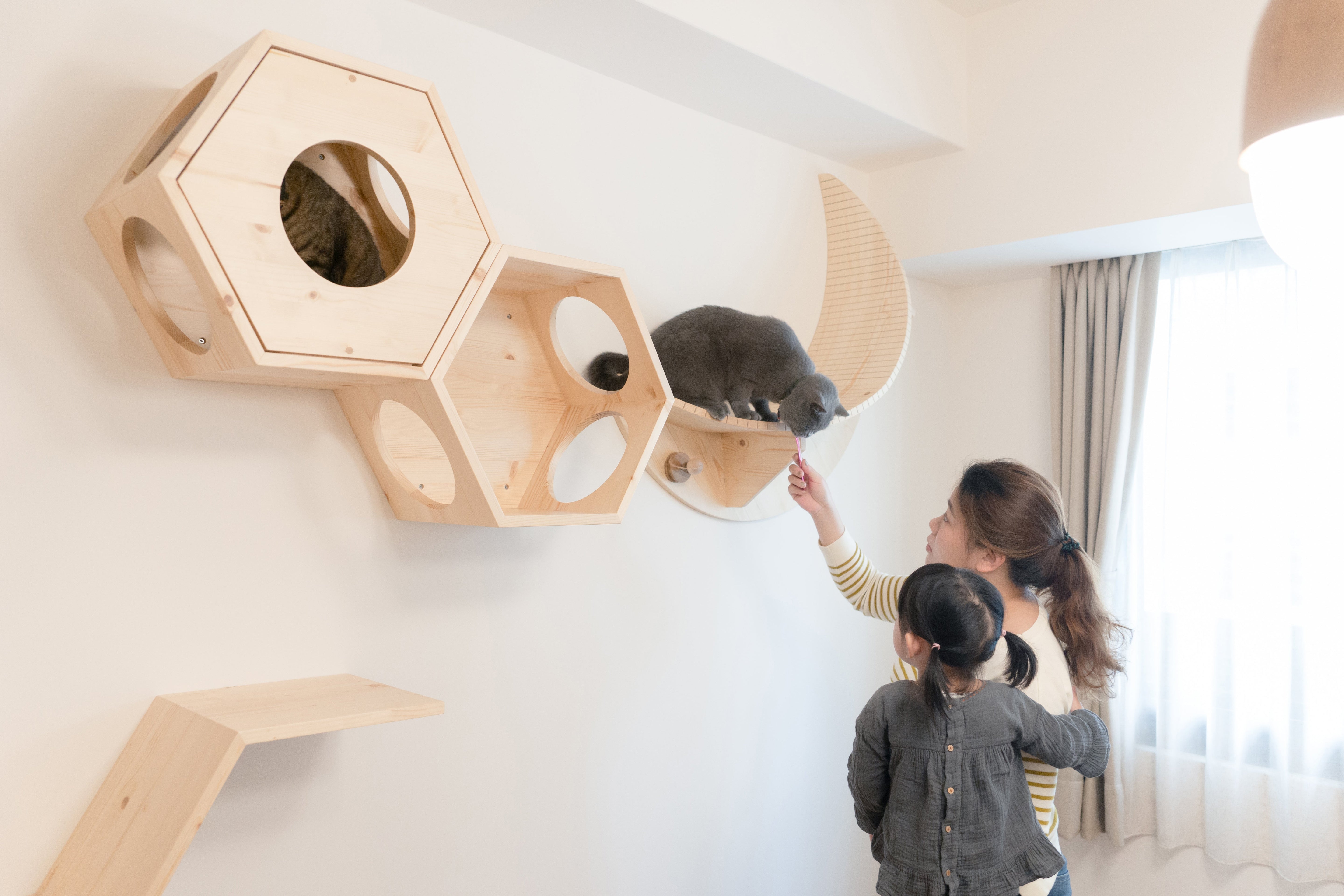 子どもと猫が安心して暮らせる空間設計｜心地よい距離をつくる猫との住まい