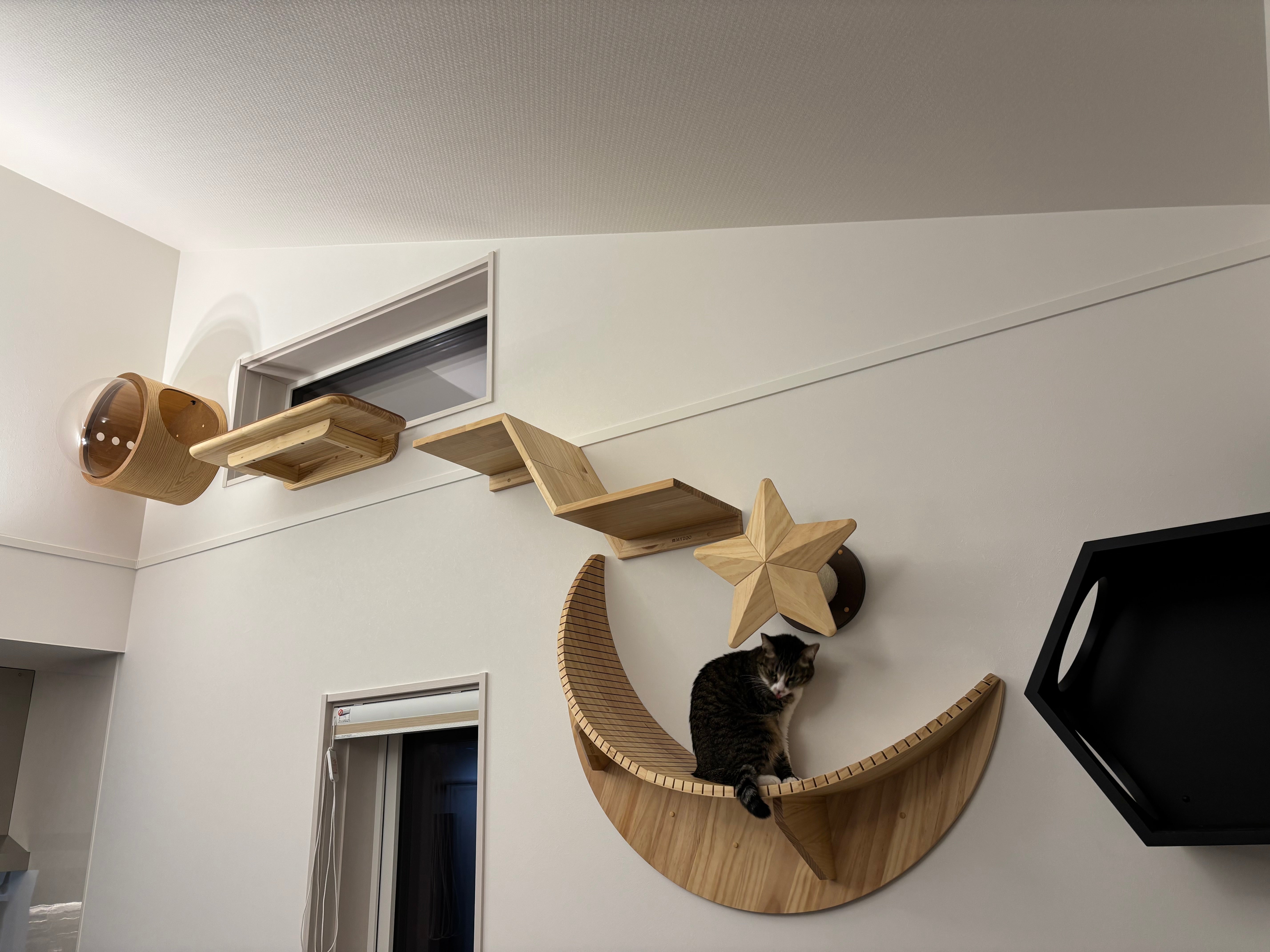 𝐋𝐢𝐯𝐢𝐧𝐠 𝐰𝐢𝐭𝐡 𝐂𝐚𝐭𝐬｜勾配天井×生活動線