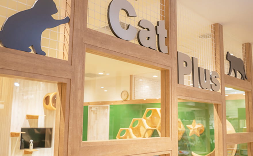 Cat Plus-ネコライフ体験ショップ