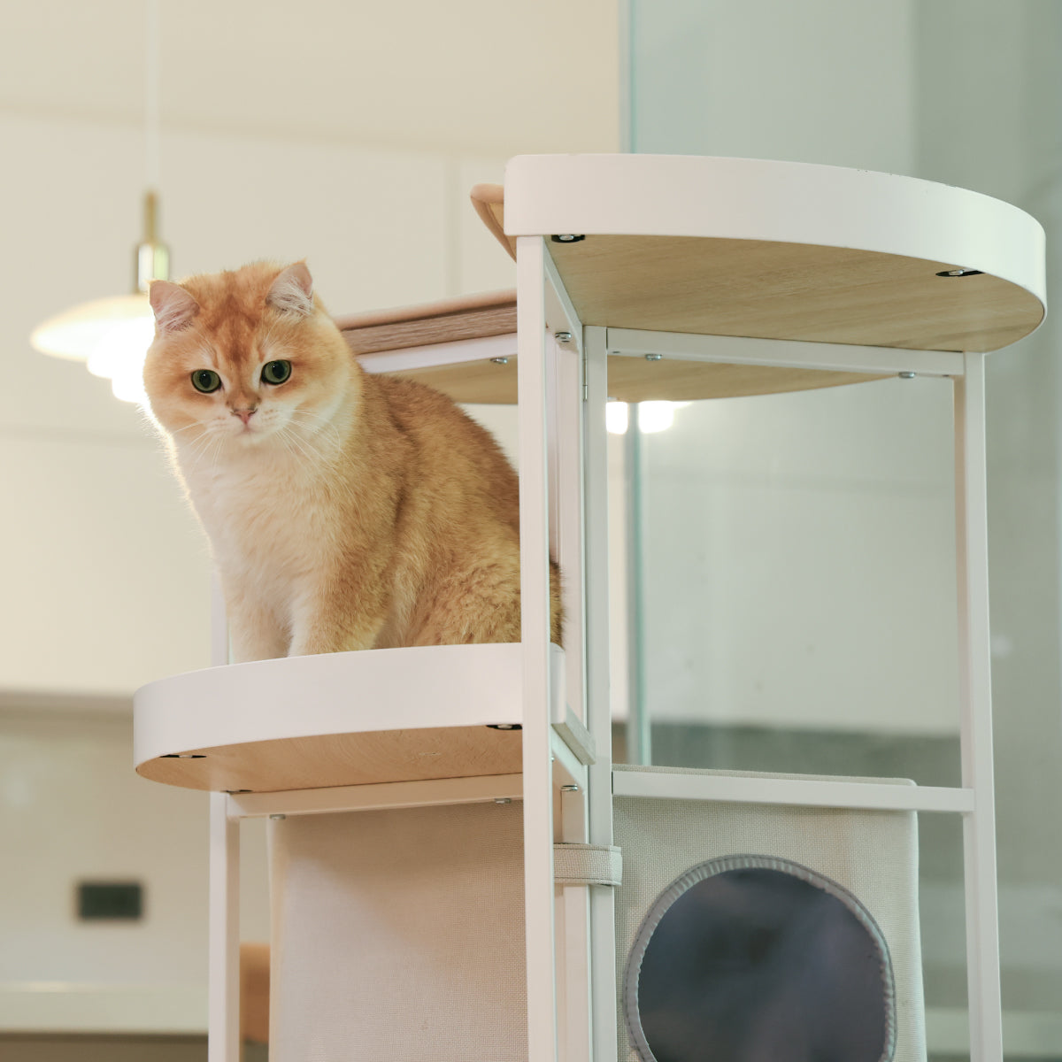 床置き商品 | On the Floor