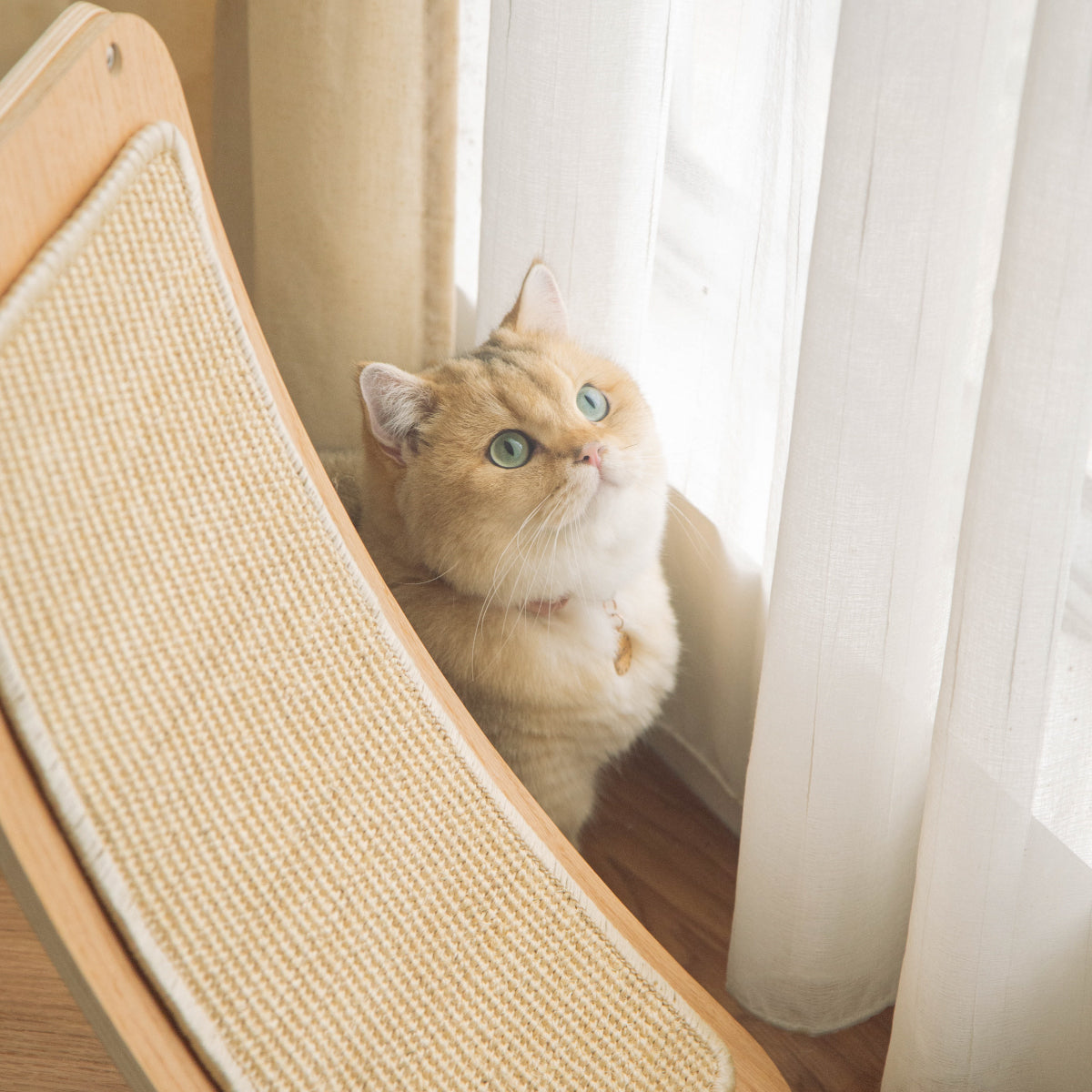 MYZOO-猫用爪とぎ