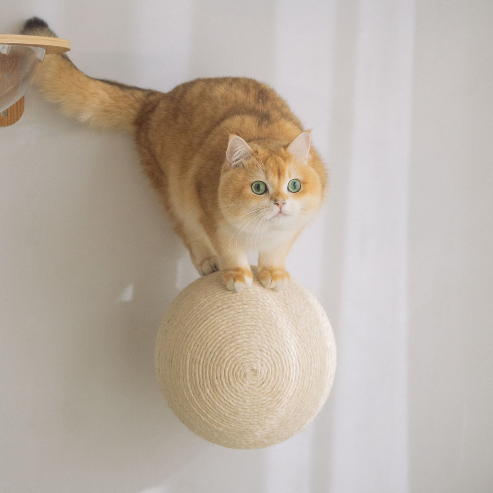 キャプテン21様　キャットステップ オーダー キャットステップ コンパクト 猫用 猫 2×4材対応 animacolle
