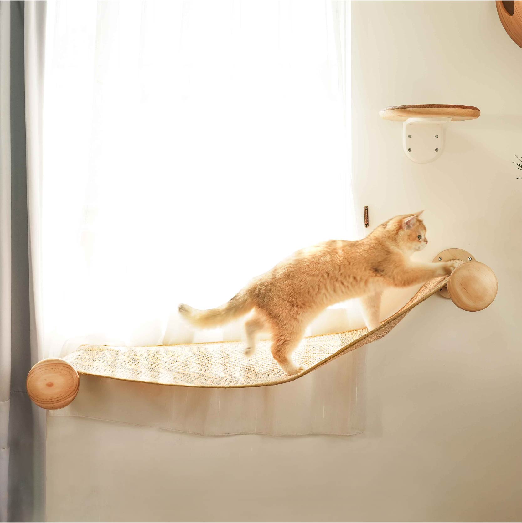 9/10-9/30予約受付中【キャットハンモック】MYZOO-Hover