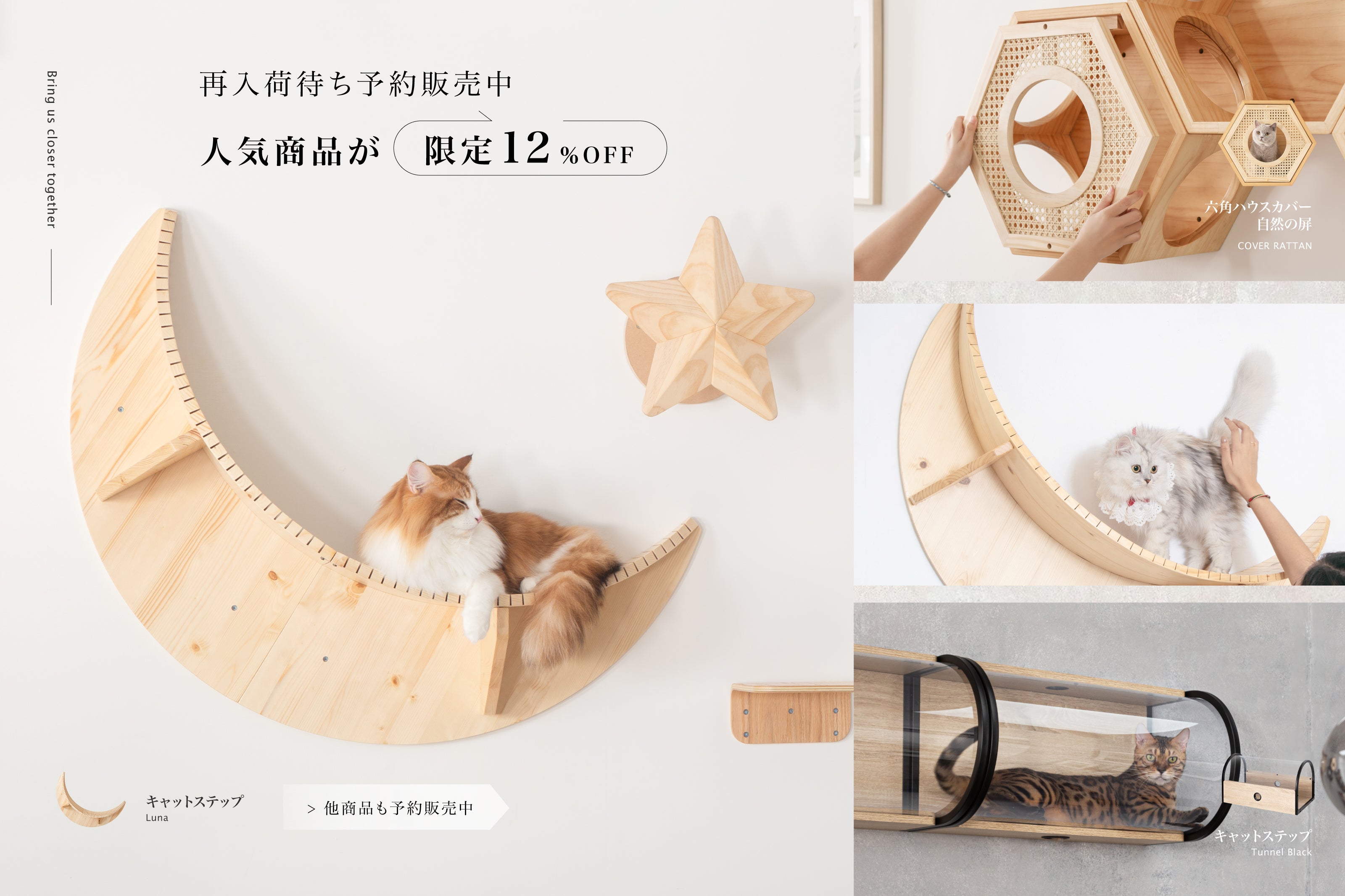 MYZOO | キャットステップ・猫用ベッド通販