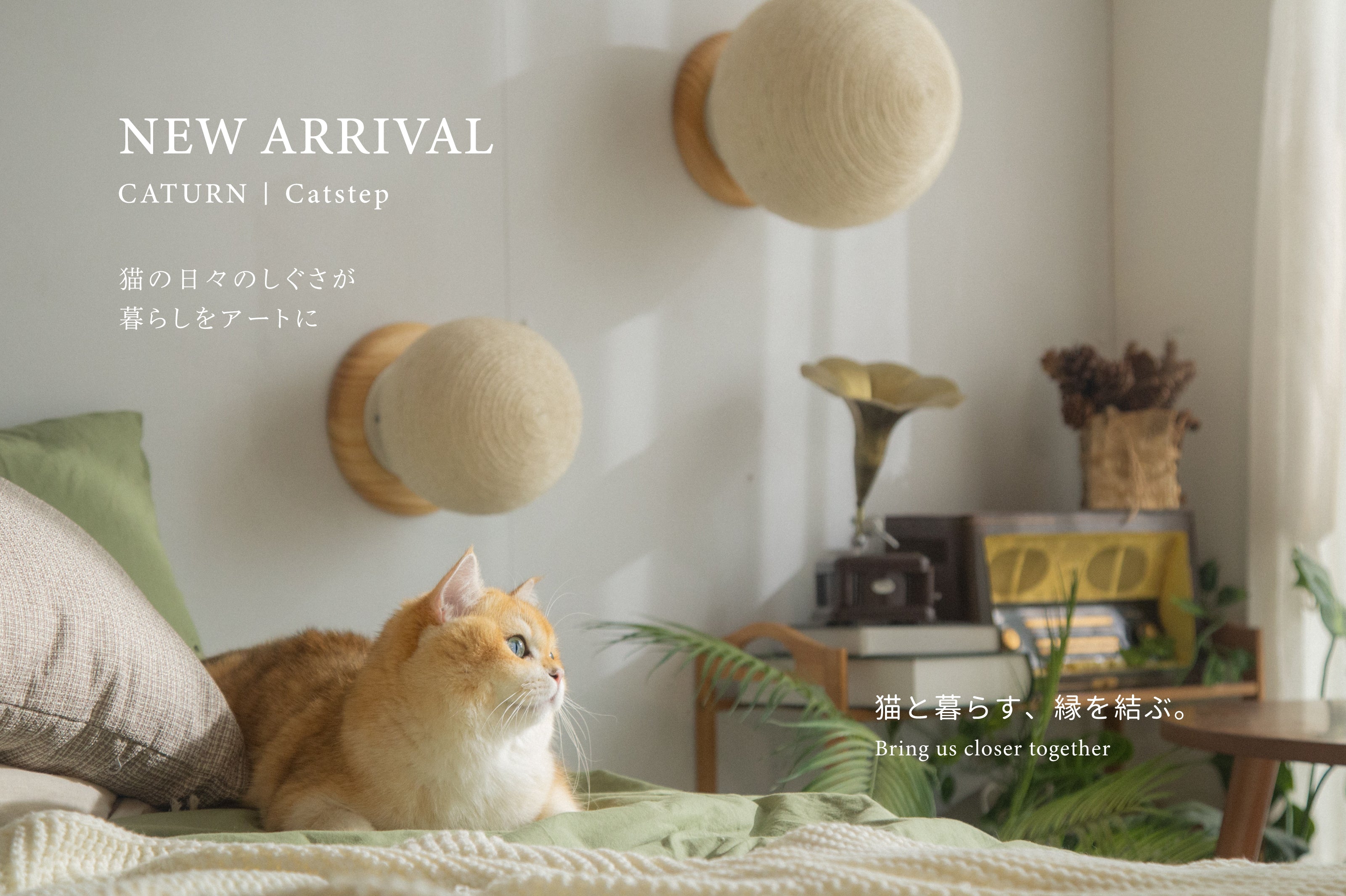 MYZOO | キャットステップ・猫用ベッド通販