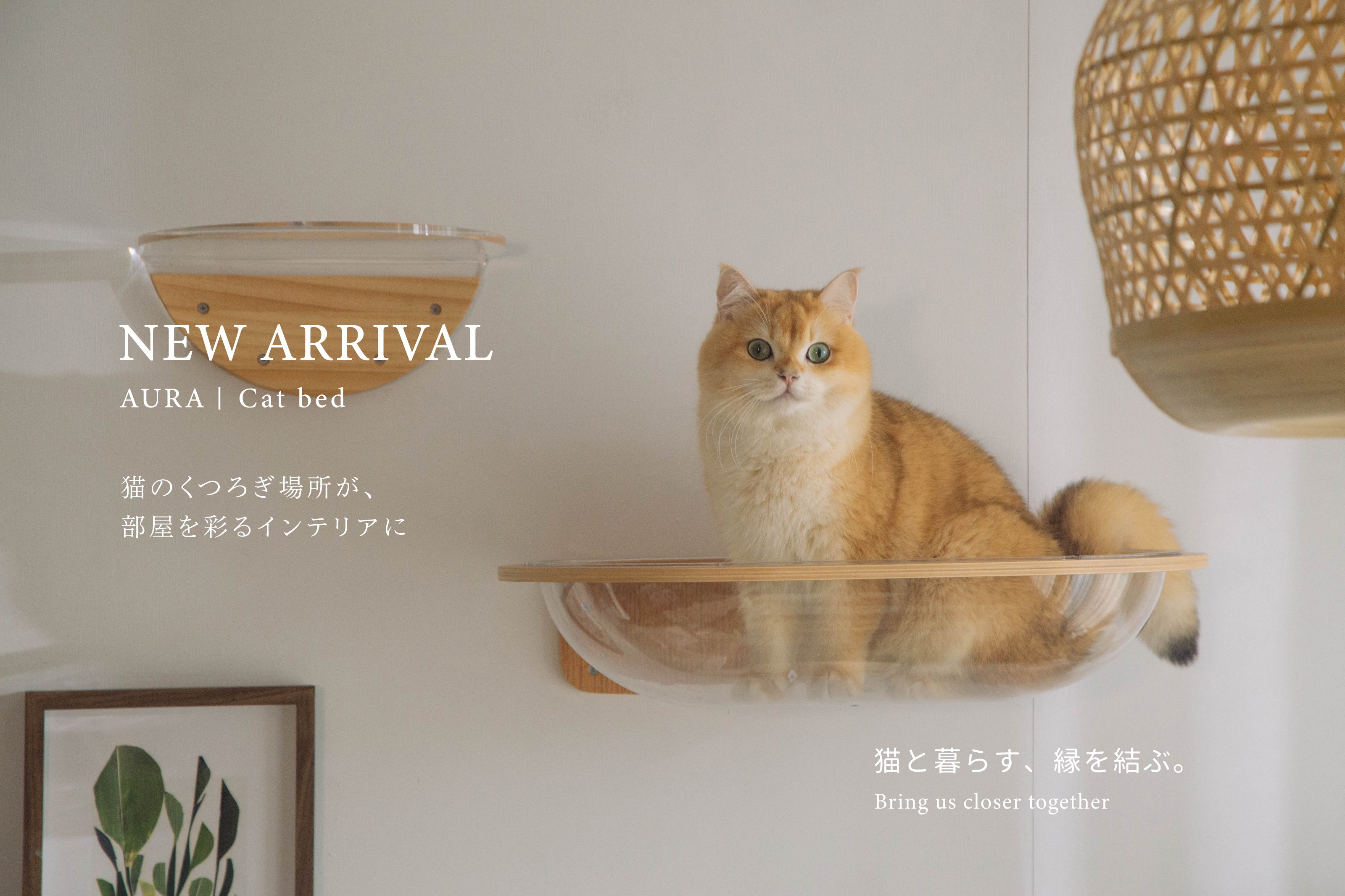MYZOO | キャットステップ・猫用ベッド通販