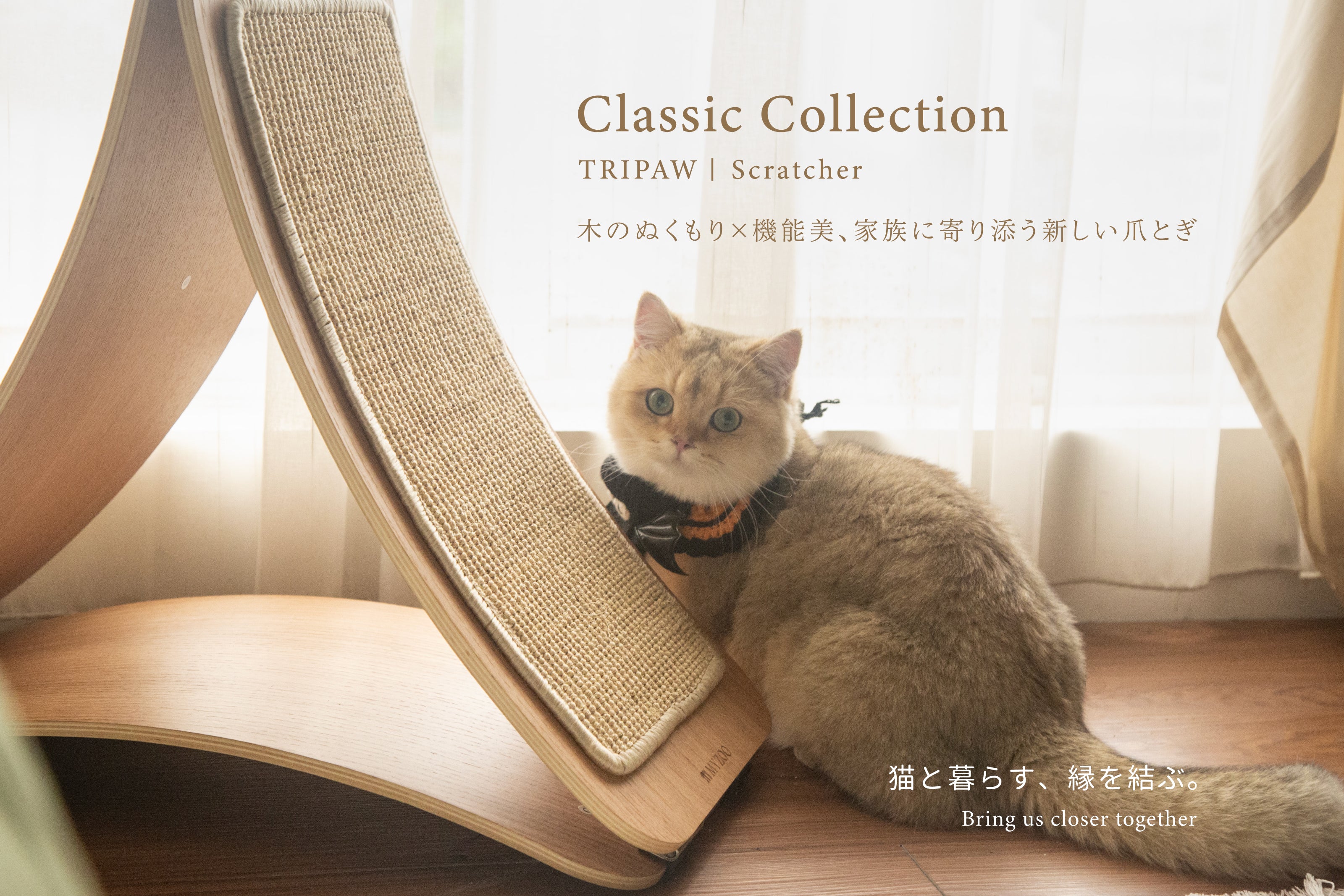 MYZOO | キャットステップ・猫用ベッド通販