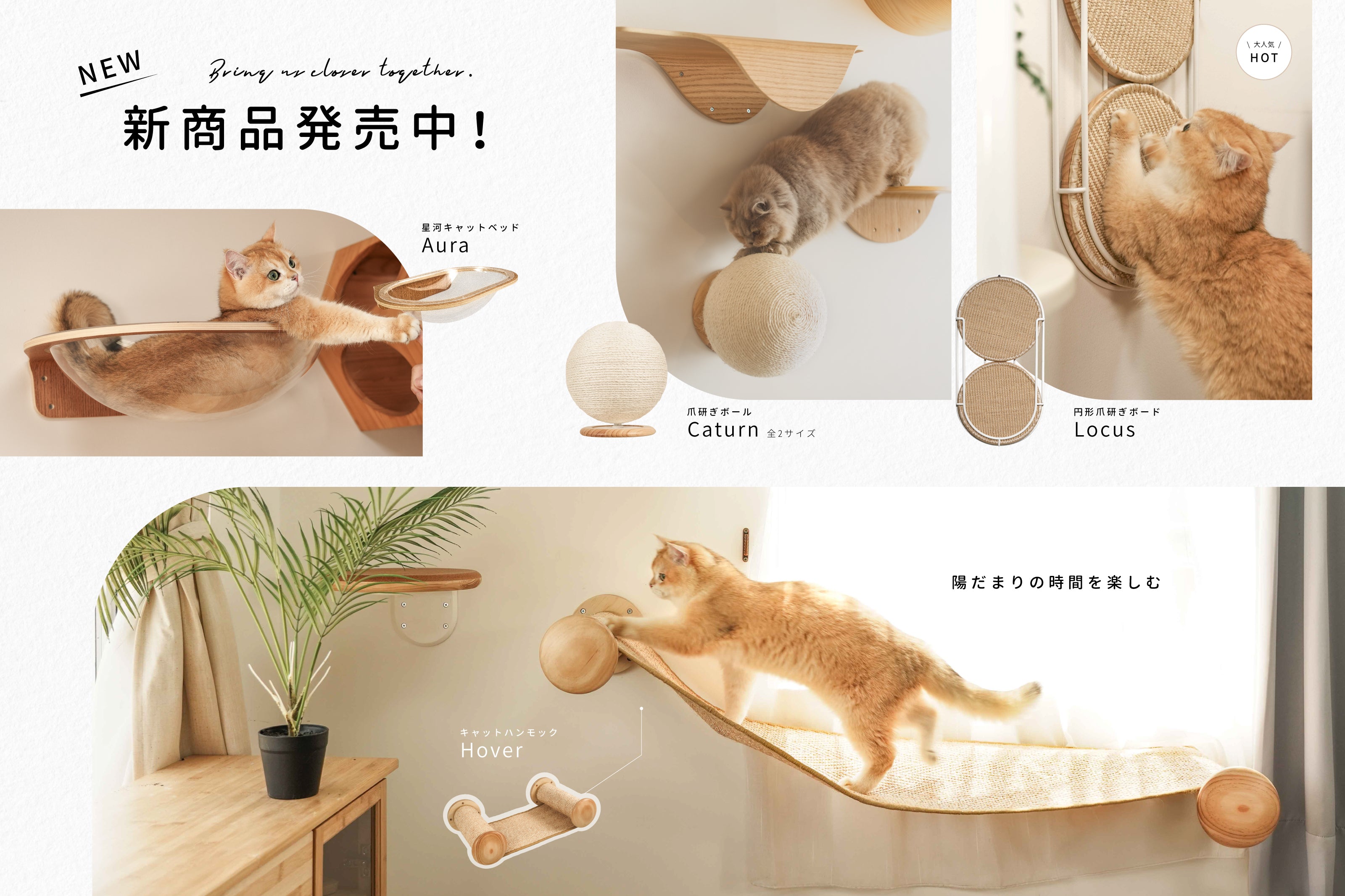 251118-12月-官網BN四新品合併-官網BN電腦.jpg__PID:b0b7cb7e-8242-4d93-aa99-49ffe7b6bb9c