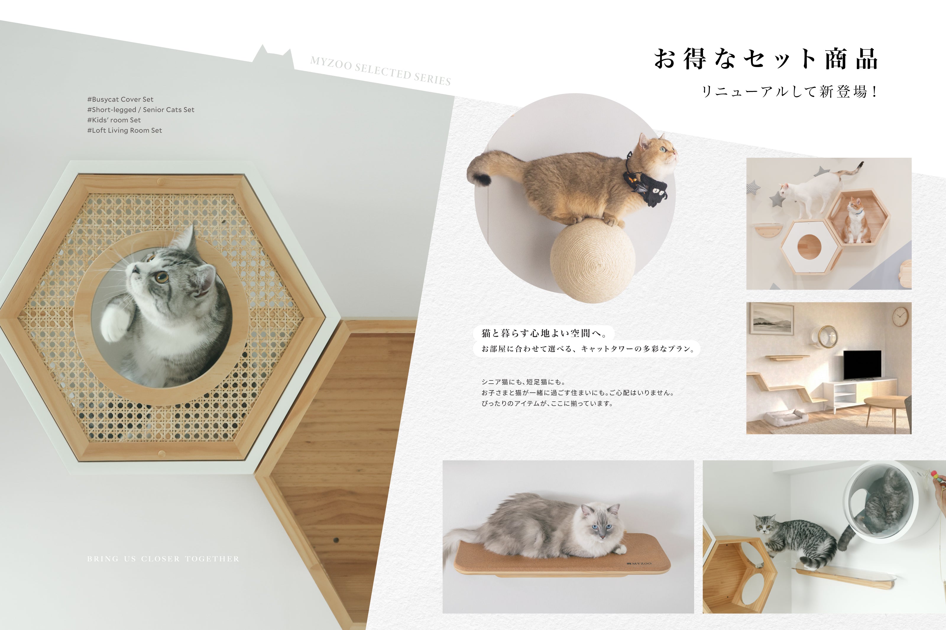 MYZOO | キャットステップ・猫用ベッド通販