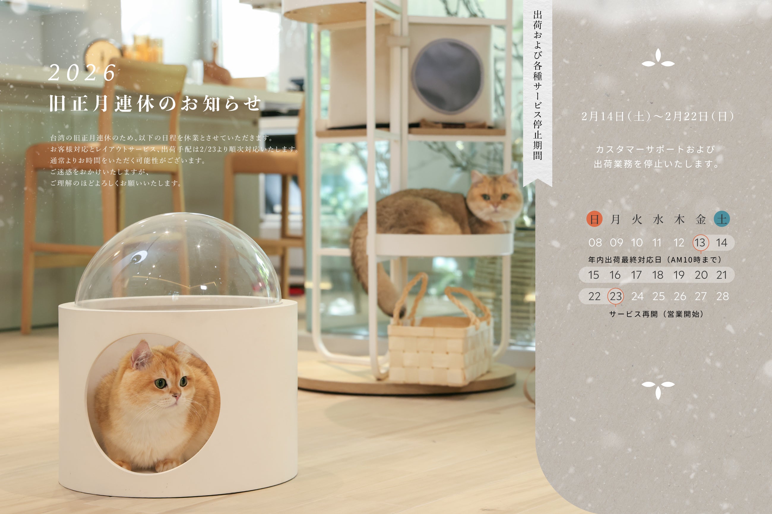 MYZOO | キャットステップ・猫用ベッド通販