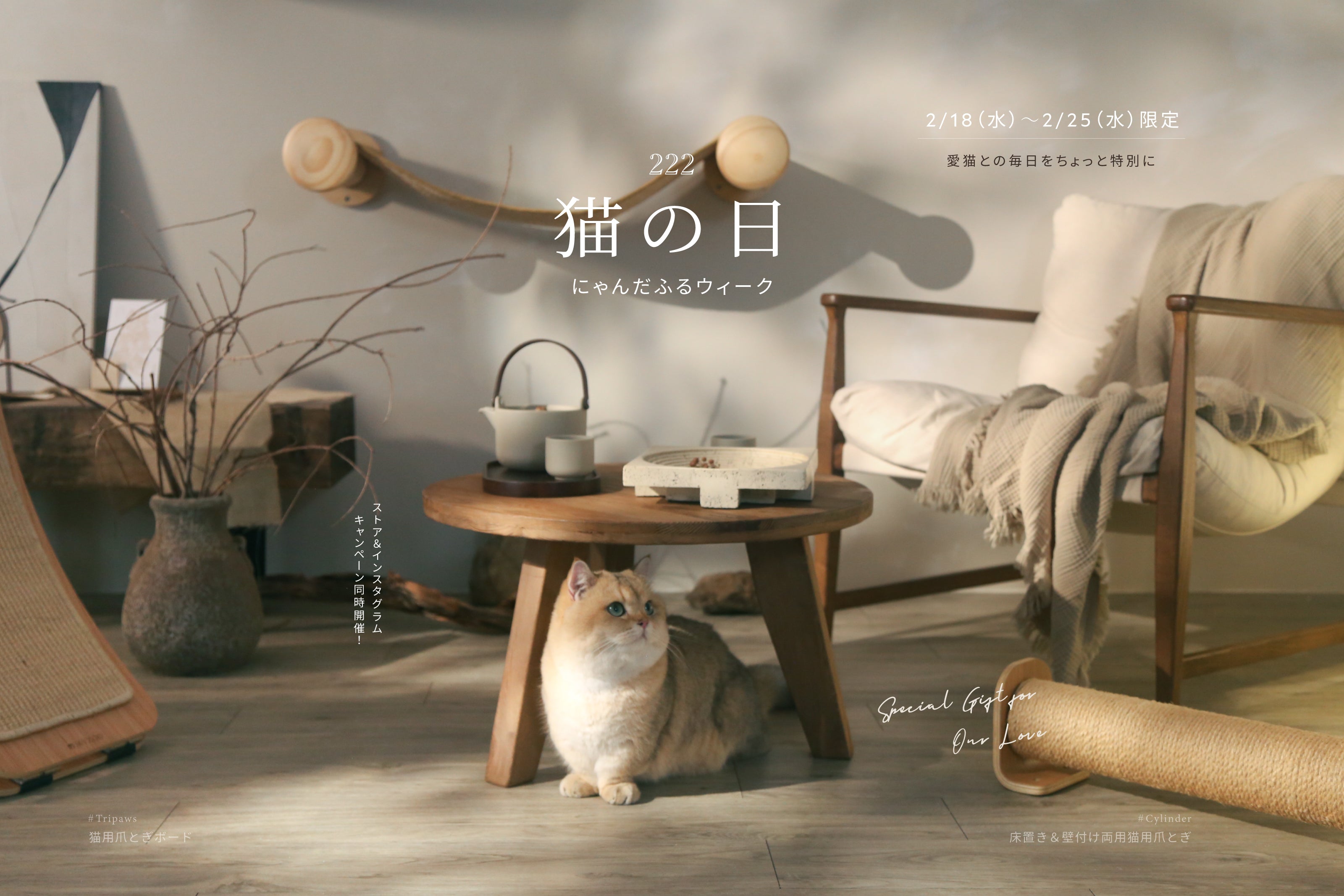 MYZOO | キャットステップ・猫用ベッド通販