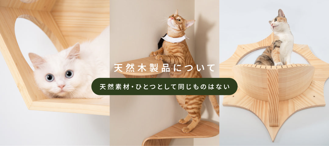 26.04-木製品購買須知修改-CUT1-top.jpg__PID:64145391-5cbe-4e9c-8bc9-9d0c3697f4be