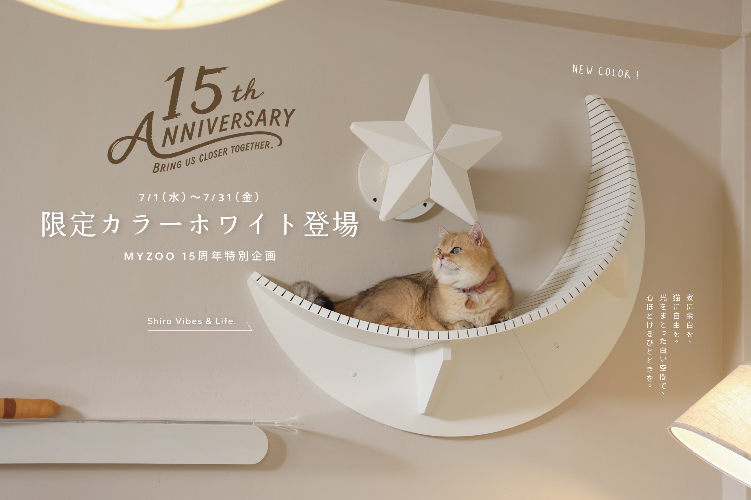 MYZOO | キャットステップ・猫用ベッド通販