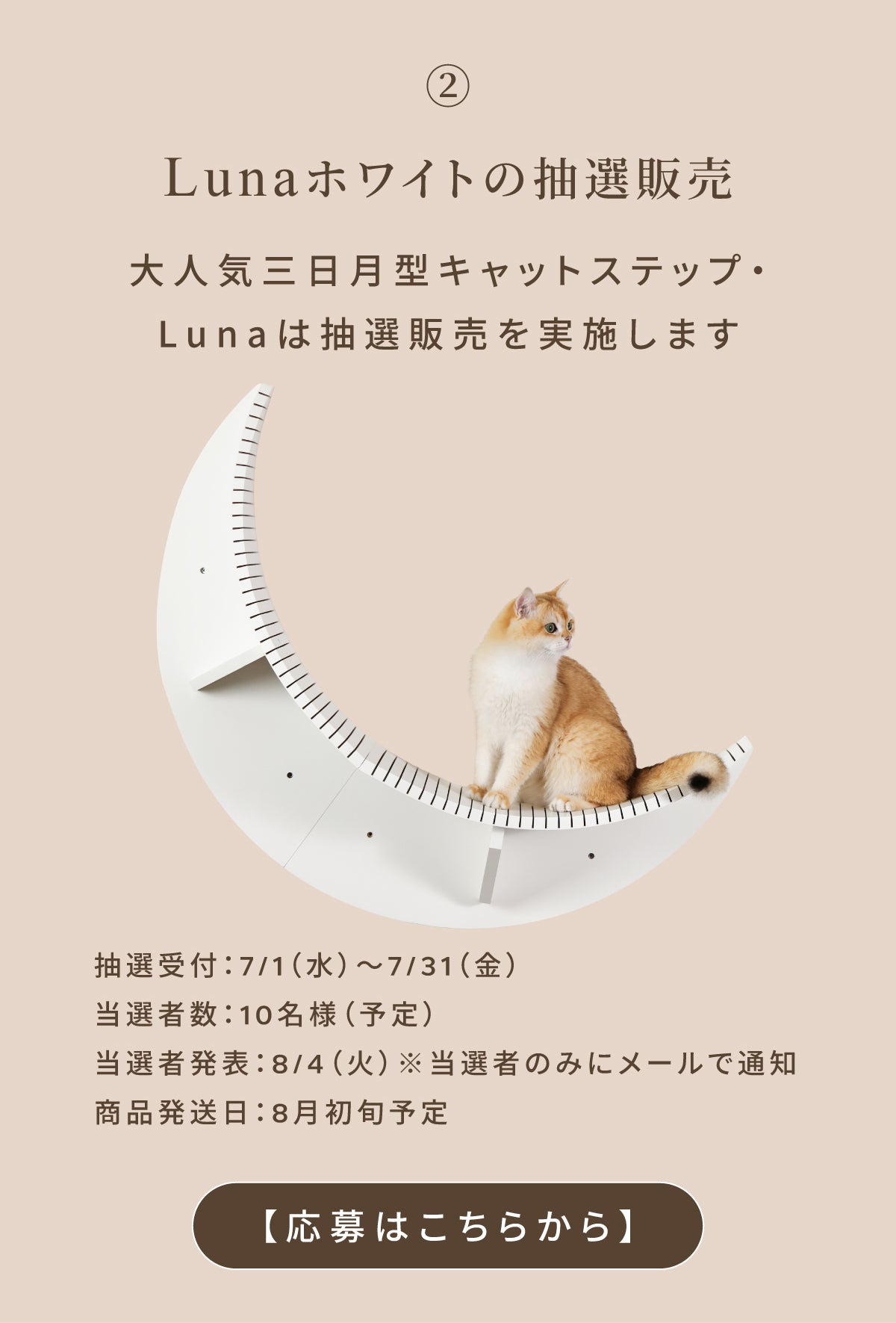 MYZOO15周年特別企画
