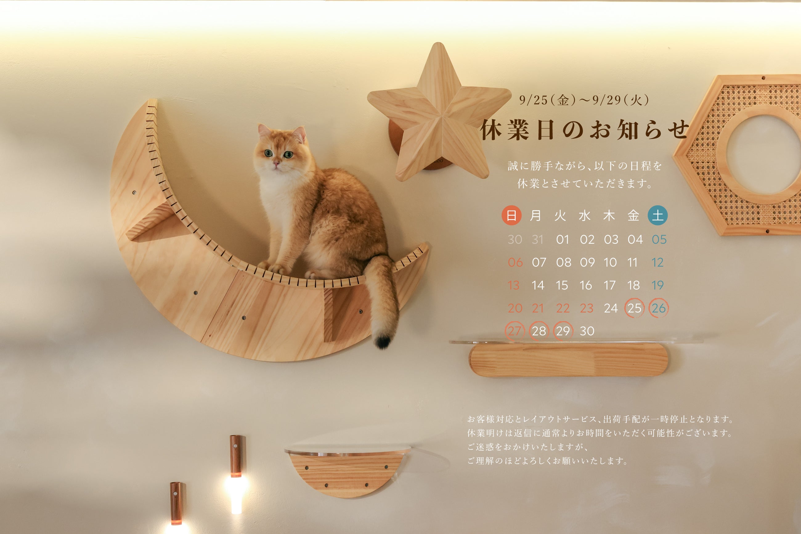 mian⭐︎緑猫さま専用　　猫B MYZOO-JP — オリジナルデザイン猫用品ブランド・MYZOO日本公式ページ