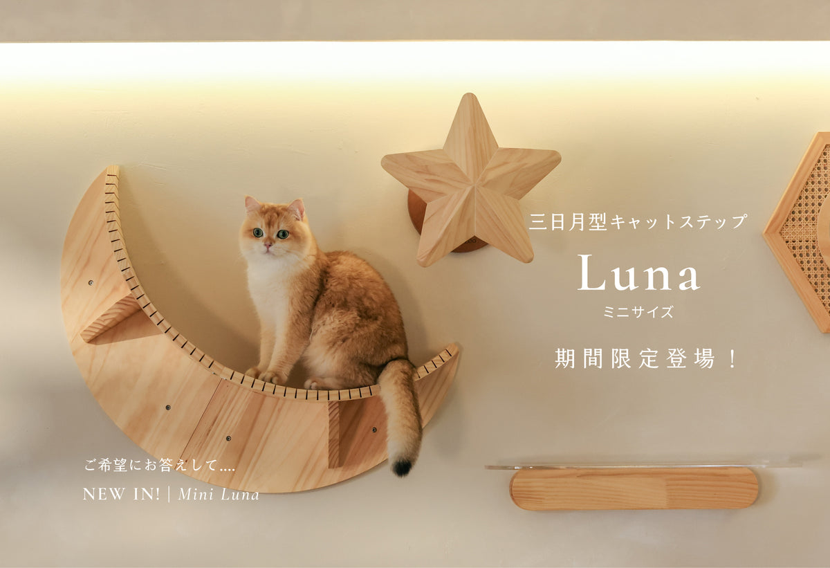 Mini Luna