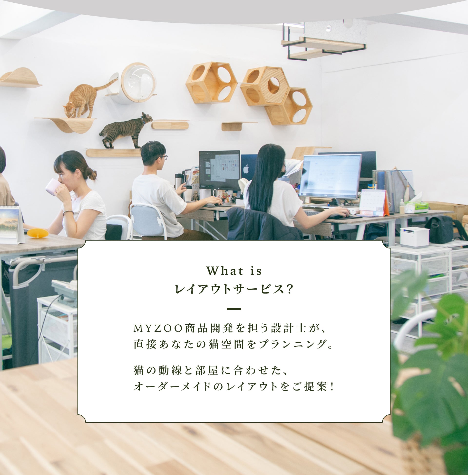 MYZOO猫の防災月間