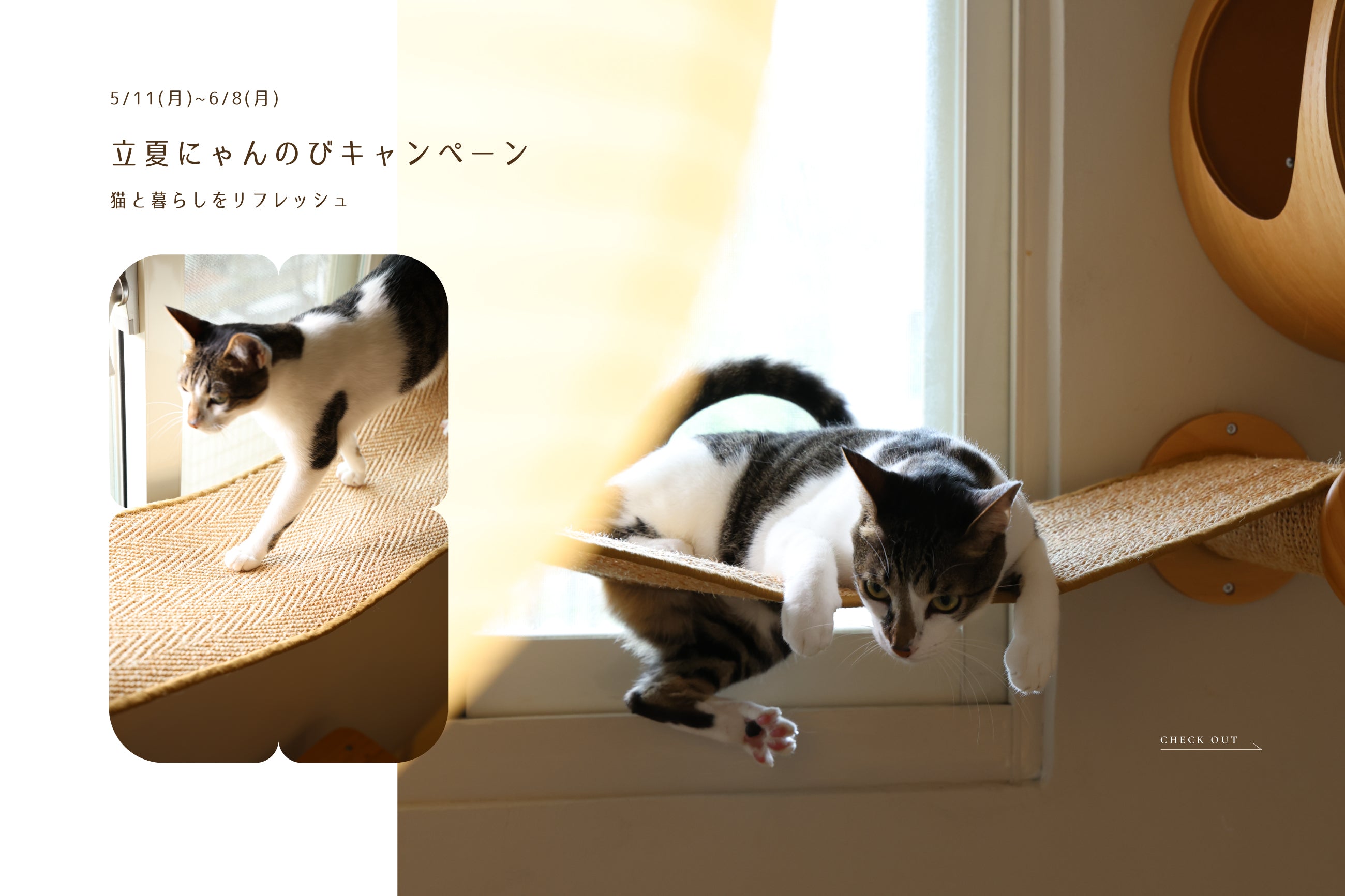 MYZOO | キャットステップ・猫用ベッド通販