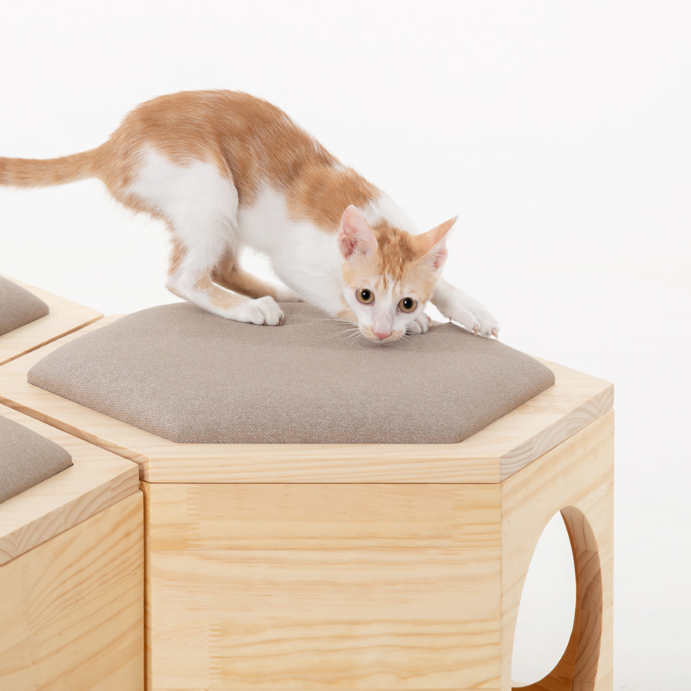 Busycat Chair Plate
