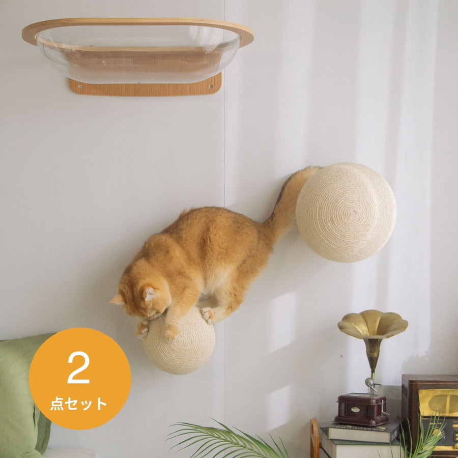 Caturn Set