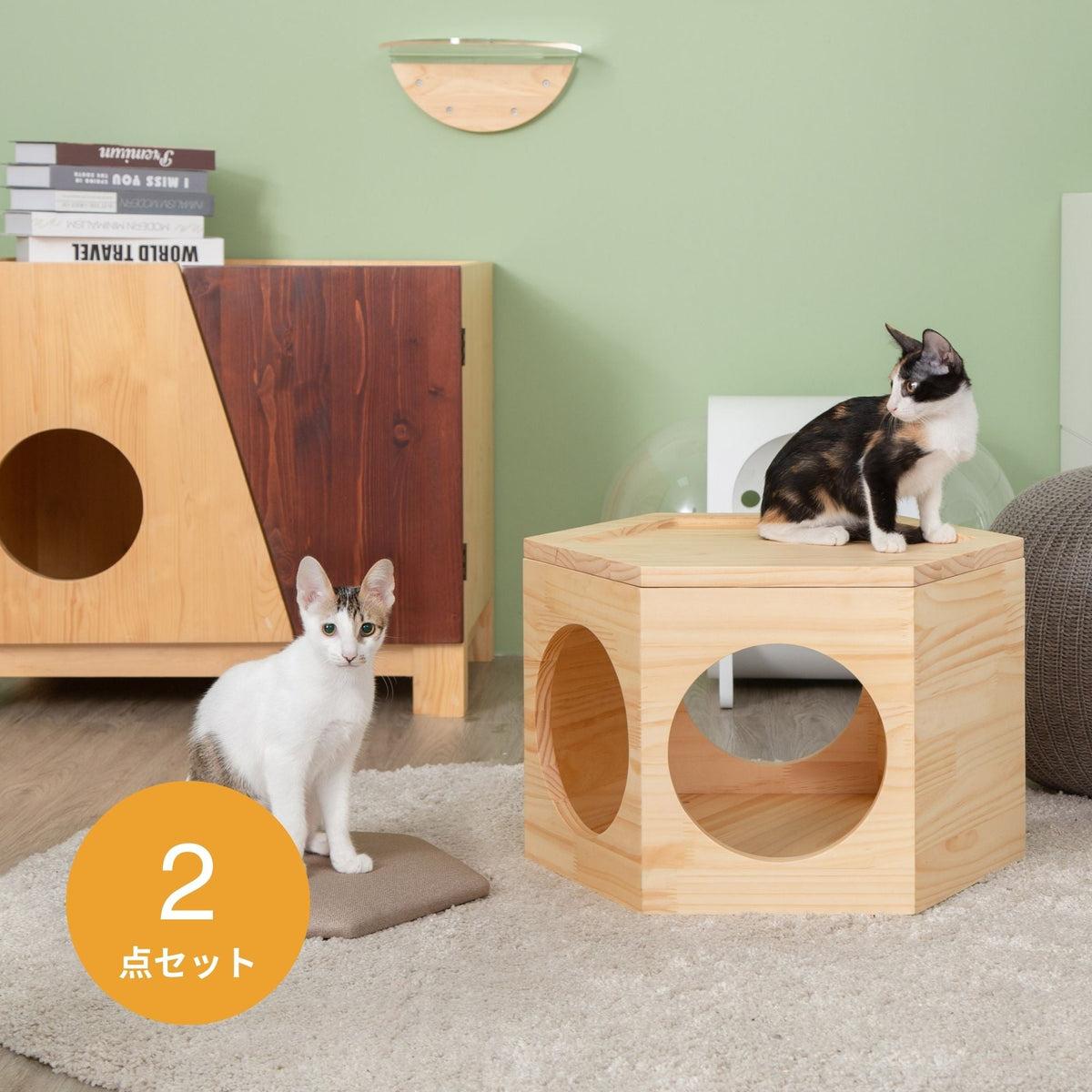 Busycat Chair Set
