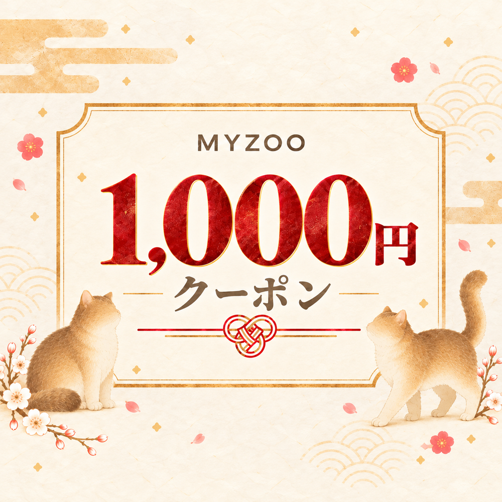 1,000円クーポン