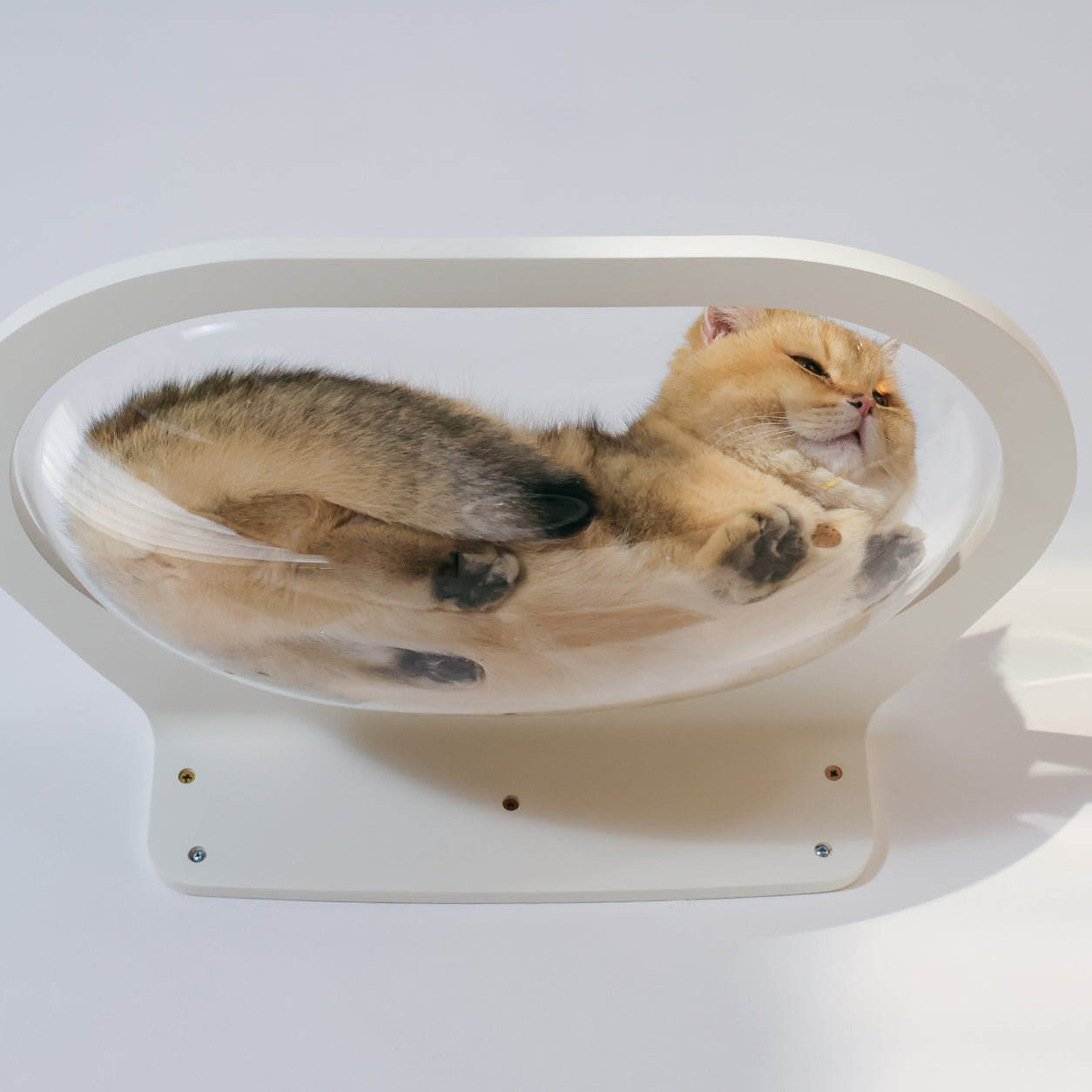 MYZOO-新商品•再入荷