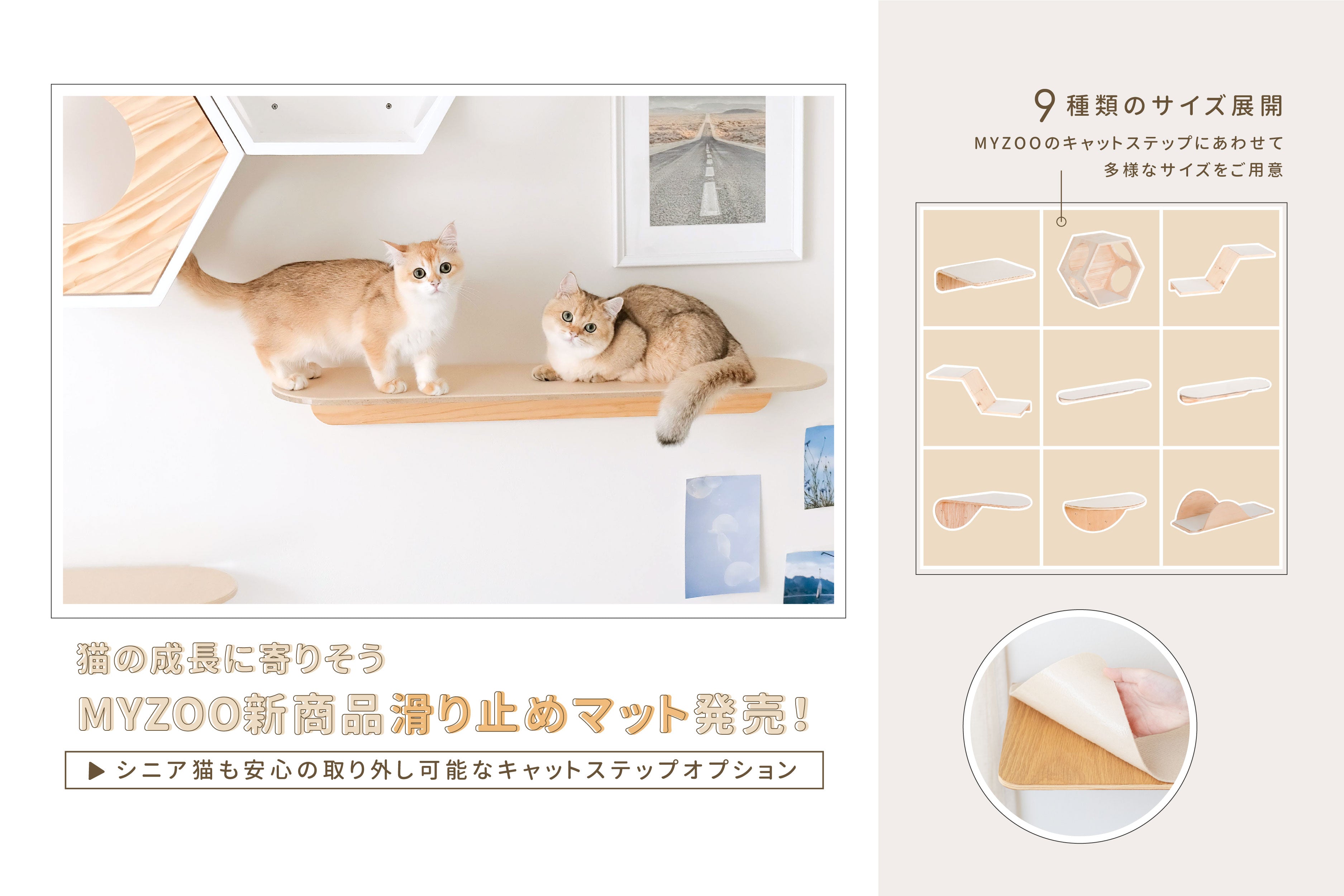 MYZOO | キャットステップ・猫用ベッド通販