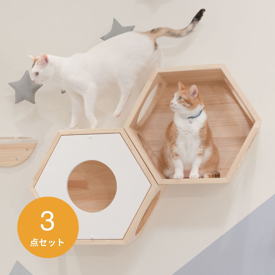 Busy Cat Cover Set