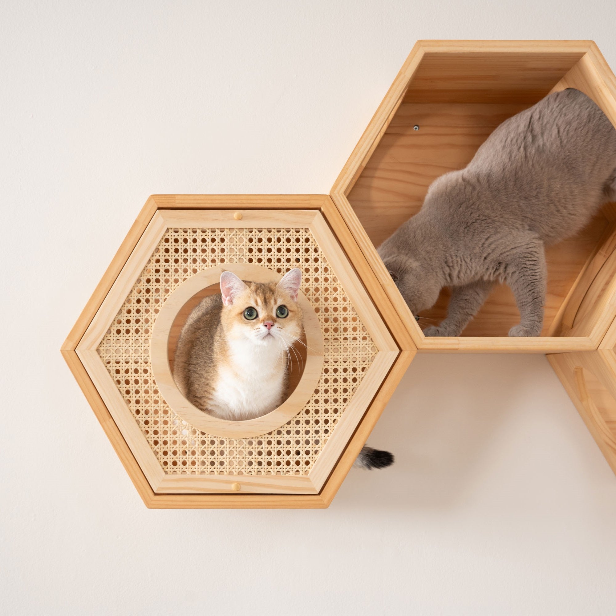 【六角ハウスオプション/猫の隠れ家】MYZOO-六角ハウスカバー 自然の屏 COVER RATTAN