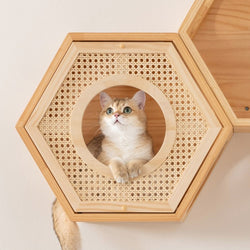 【六角ハウス部品/猫の隠れ家】MYZOO-六角ハウスカバー 自然の屏 COVER RATTAN