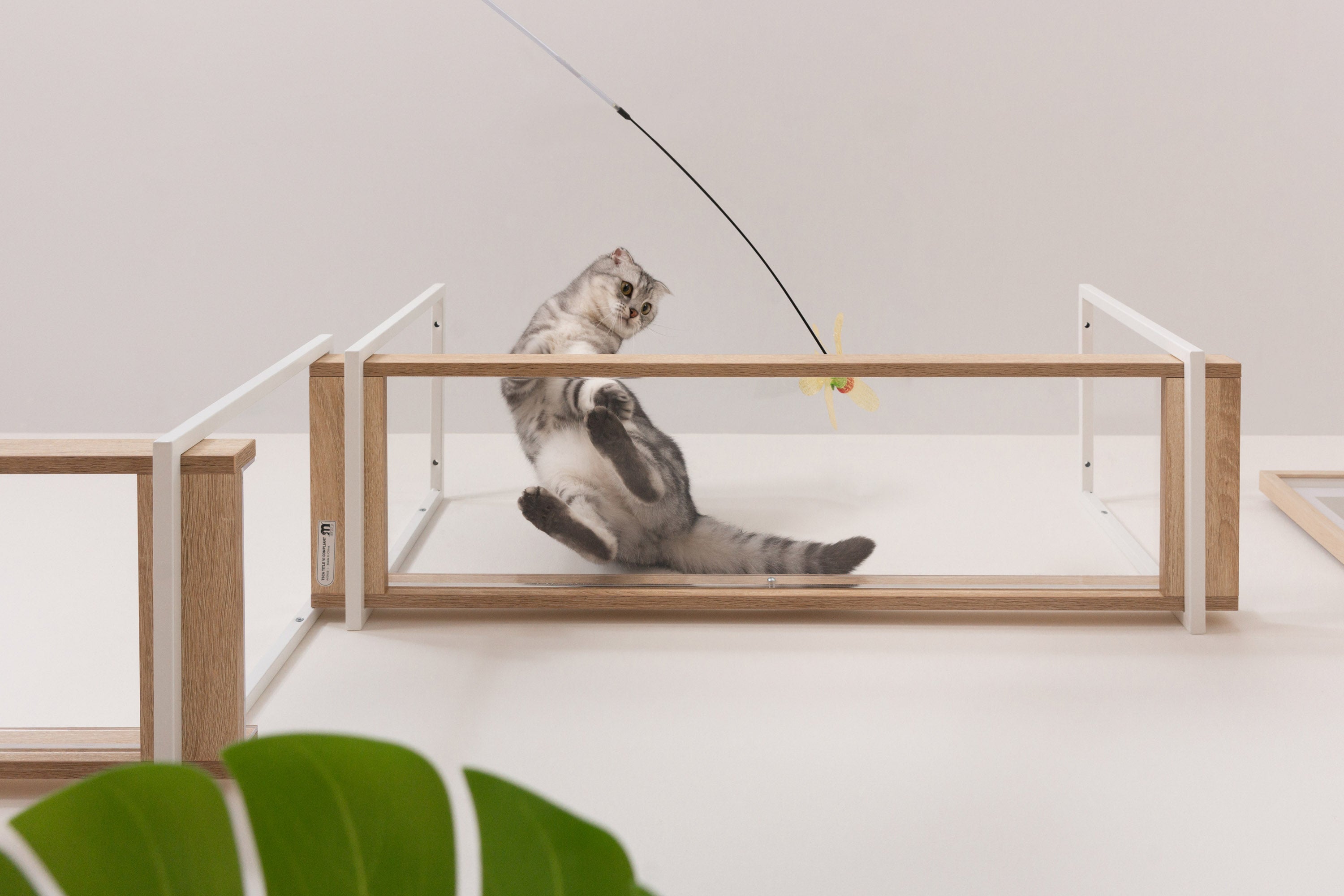 MYZOO | キャットステップ・猫用ベッド通販