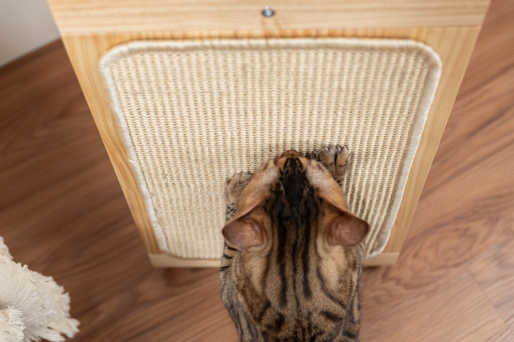 Chillax For Replacement