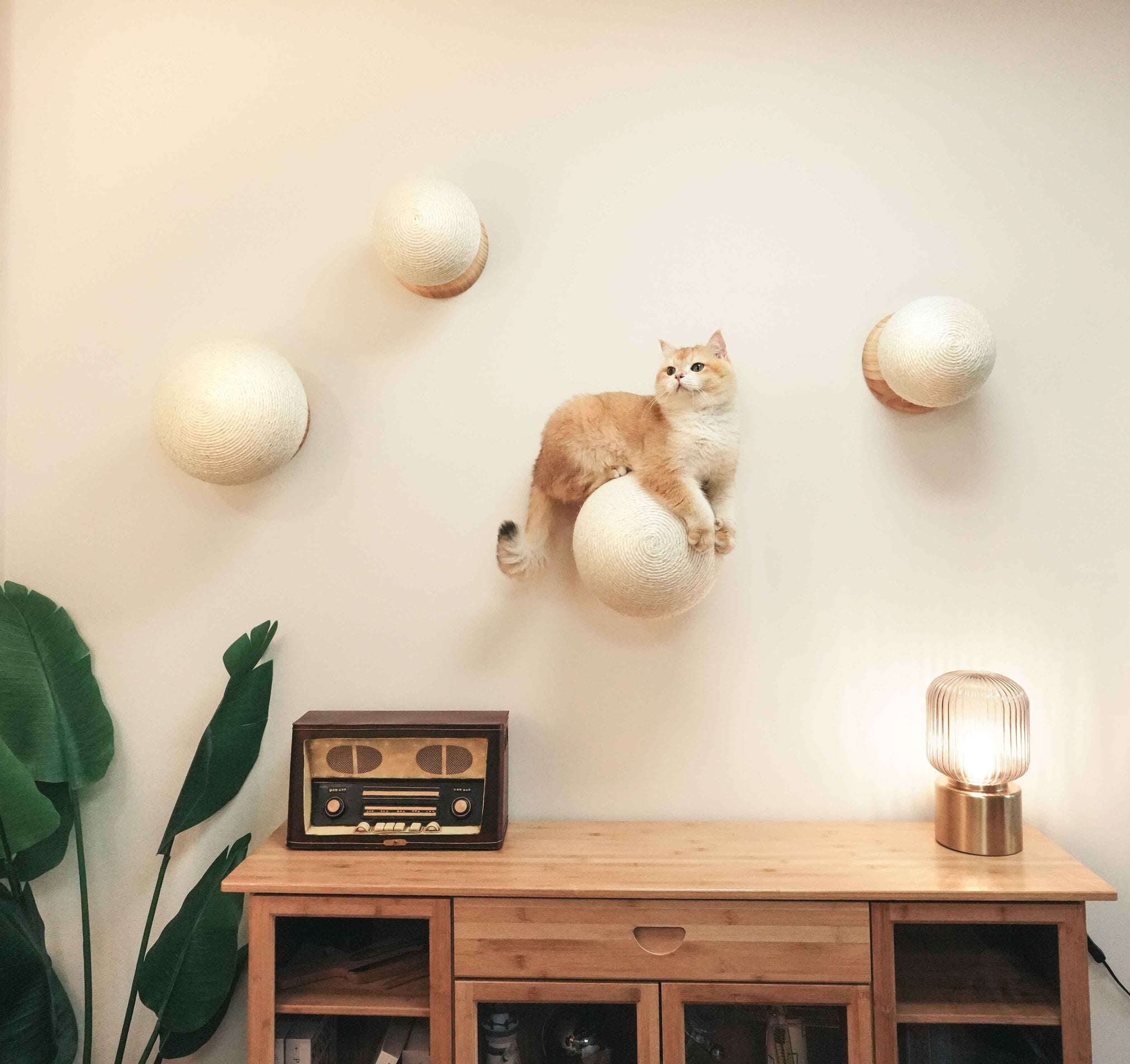 【爪研ぎボール】MYZOO-Caturn（全2サイズ）