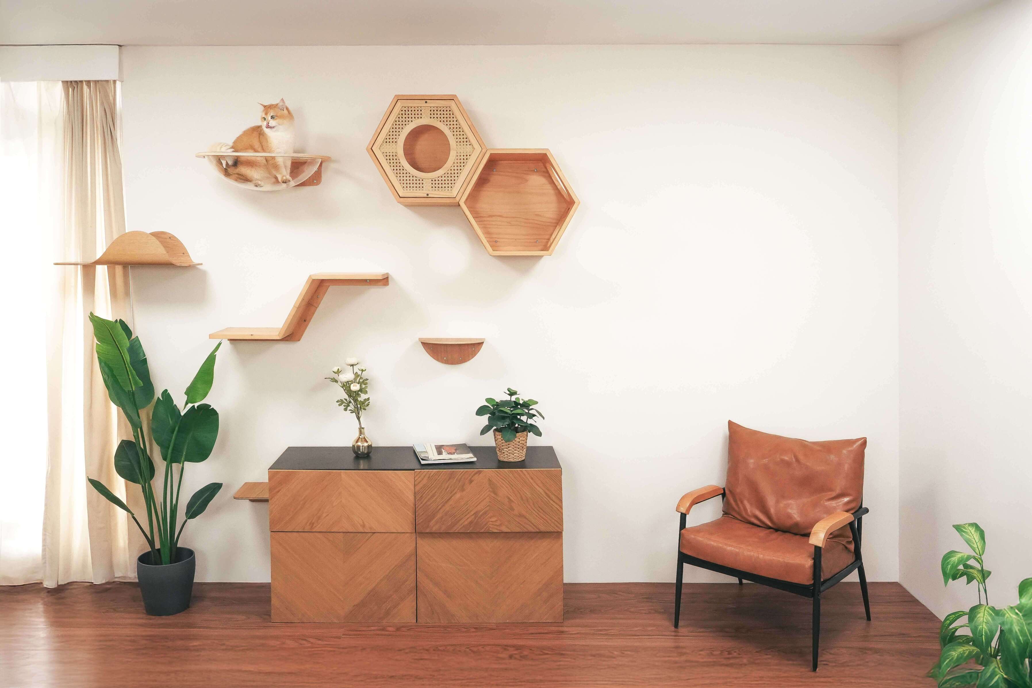 【星河キャットベッド】MYZOO-Aura