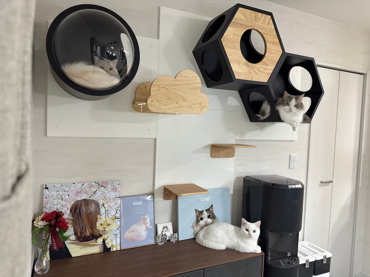 【ステップパネル】Discovery Set
