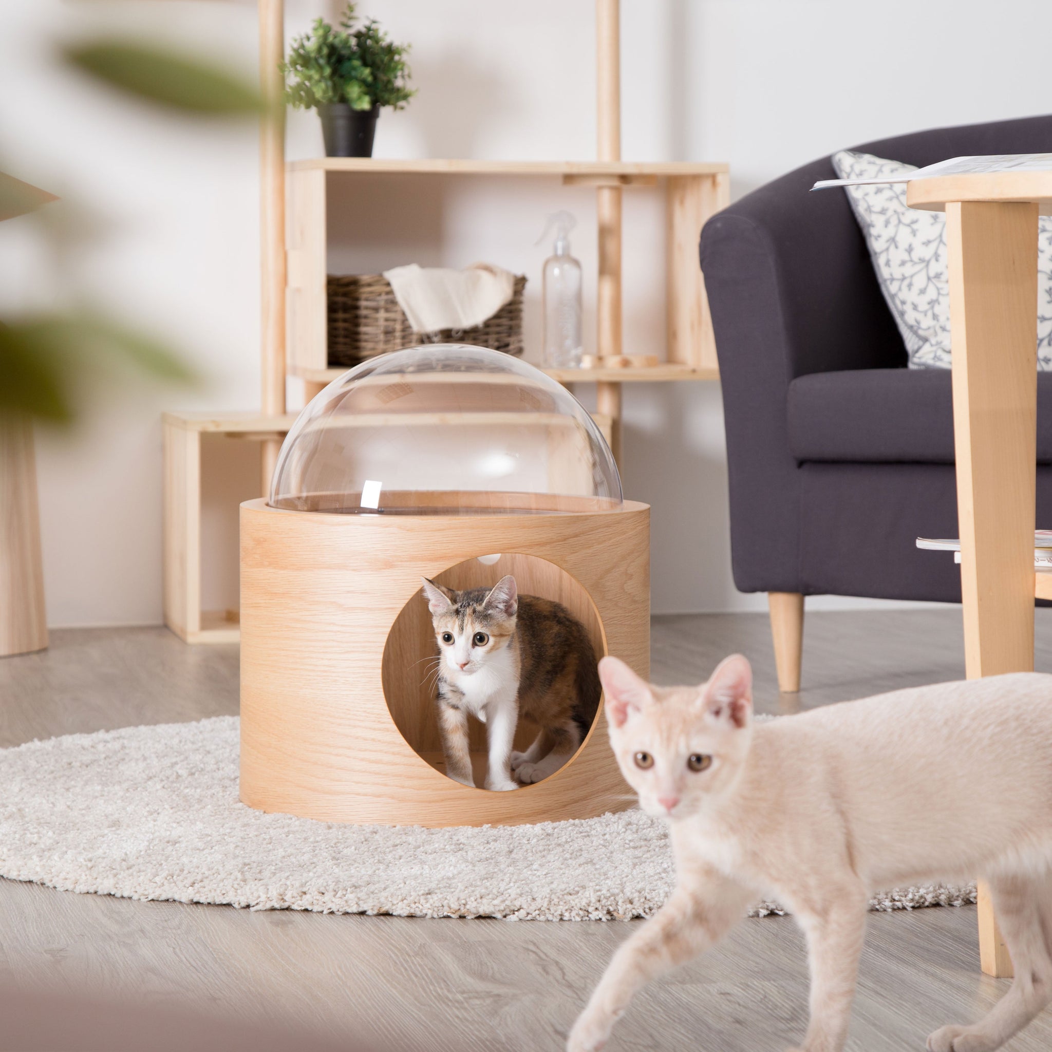 Gamma Cylinder1+1 Set