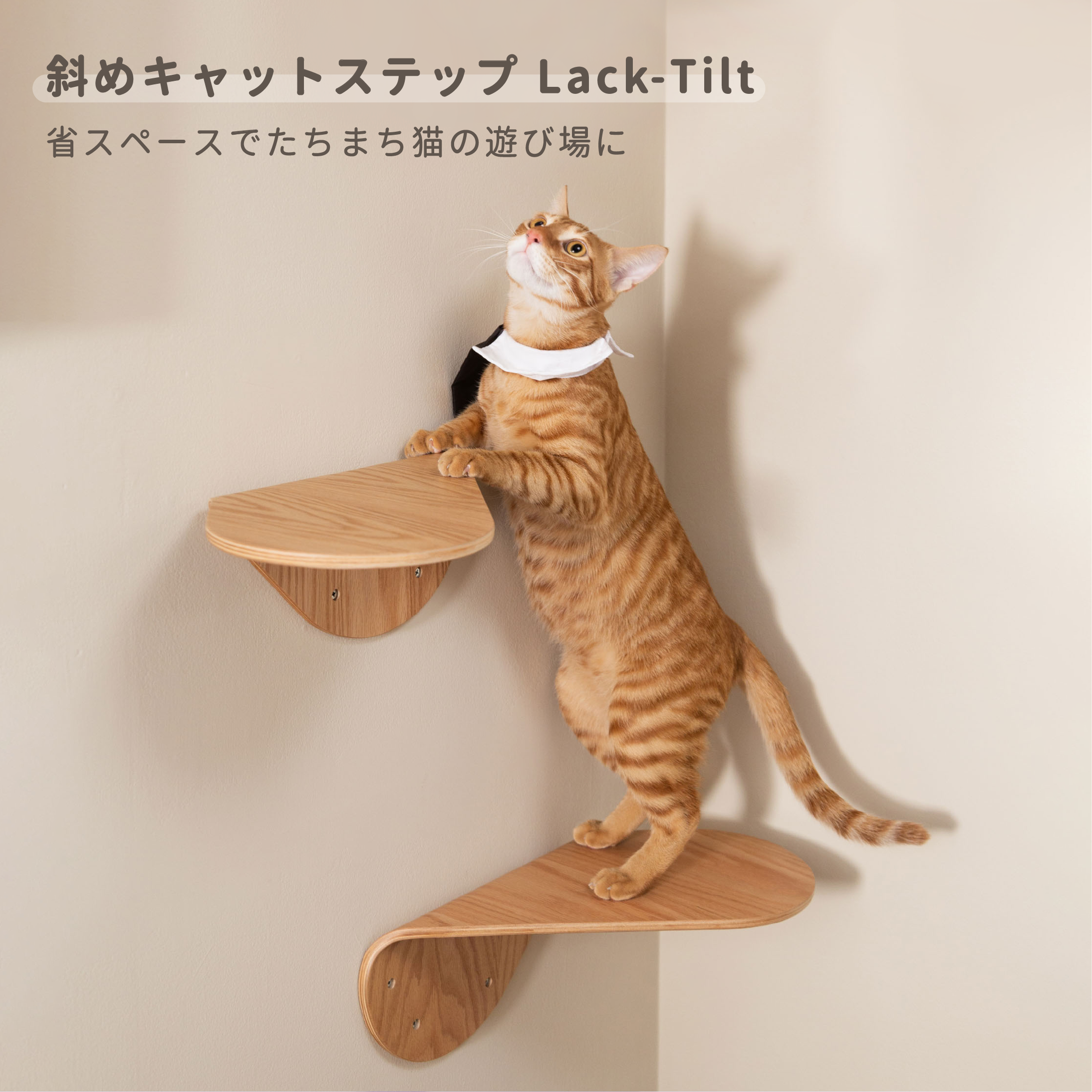 Lack Tilt Lack Tilt
