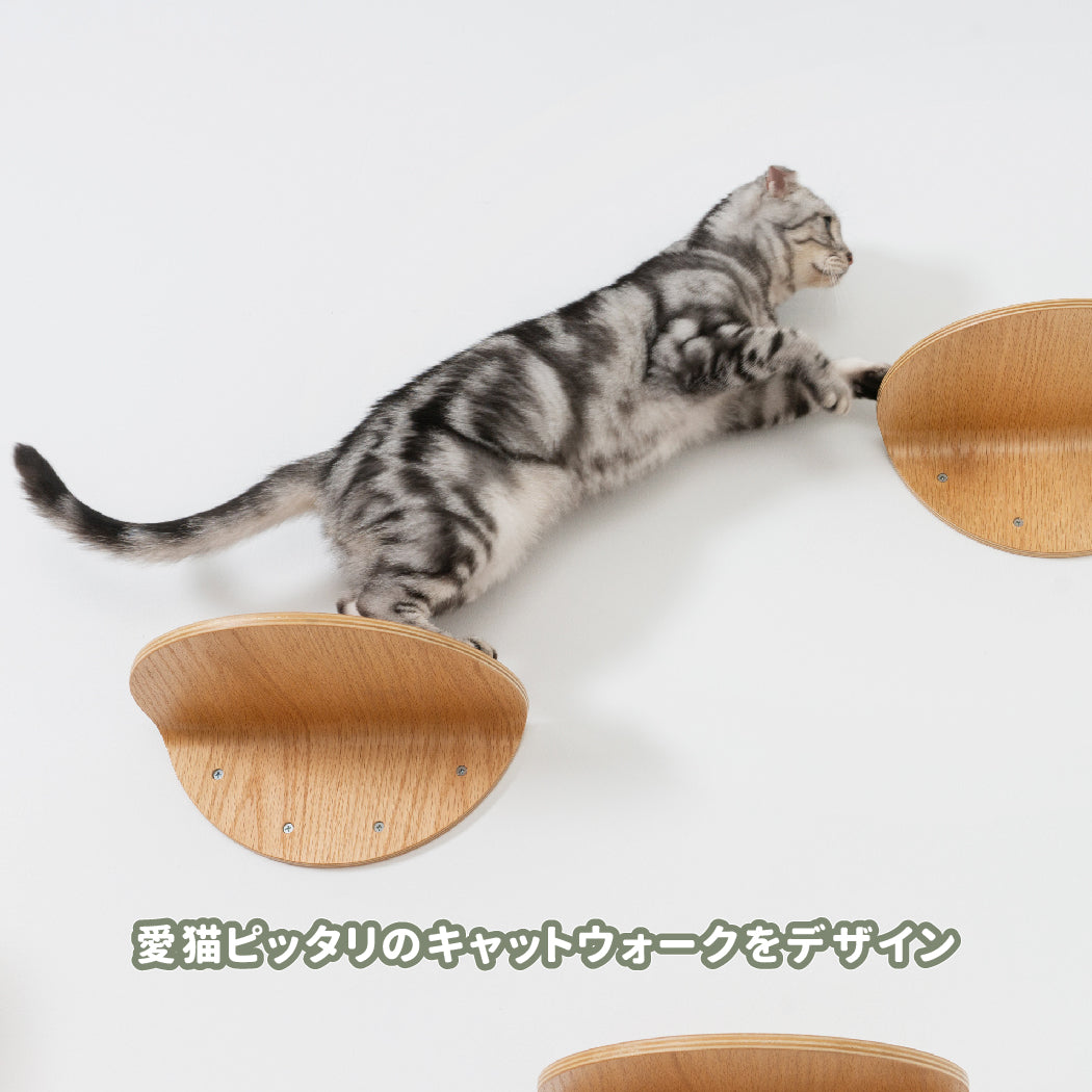 【申し込み用】Catwall Design