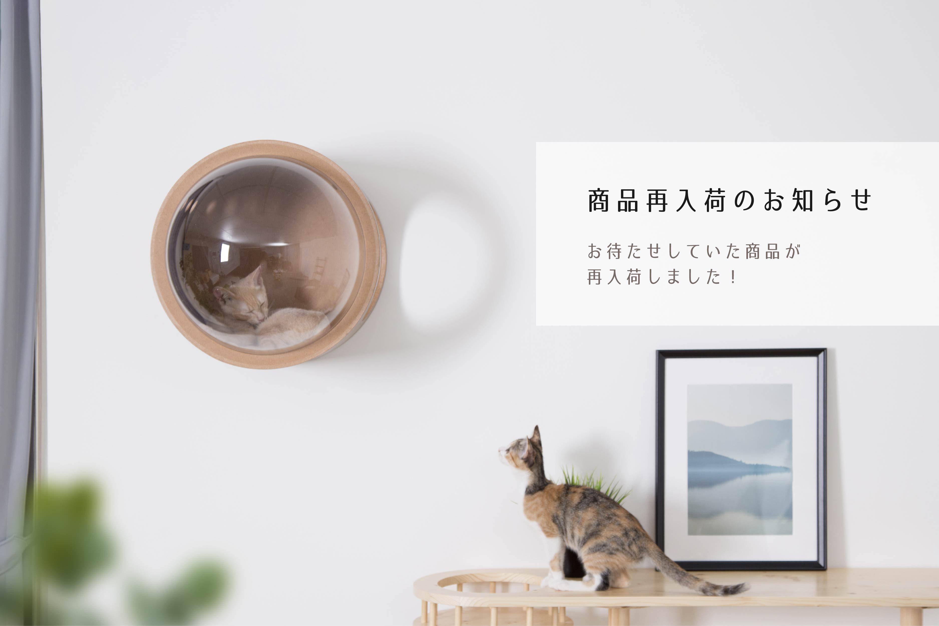 MYZOO | キャットステップ・猫用ベッド通販
