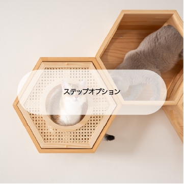 collections 05.webp__PID:c29ad3ce-4c1c-4049-ac38-2029cffc744e