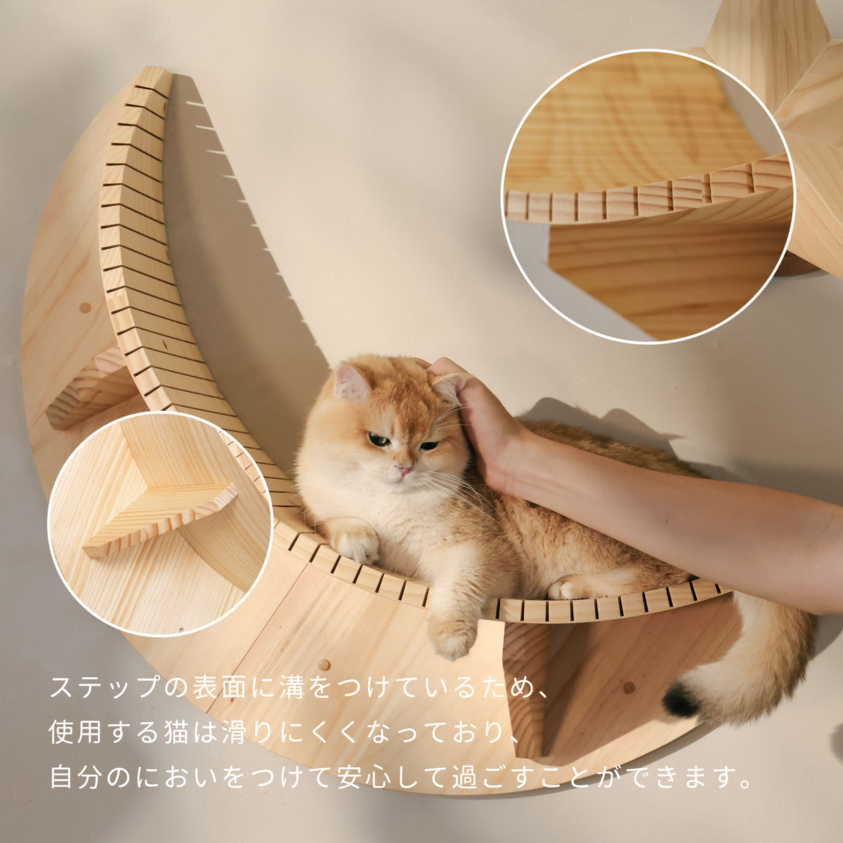 【数量限定】Mini Luna