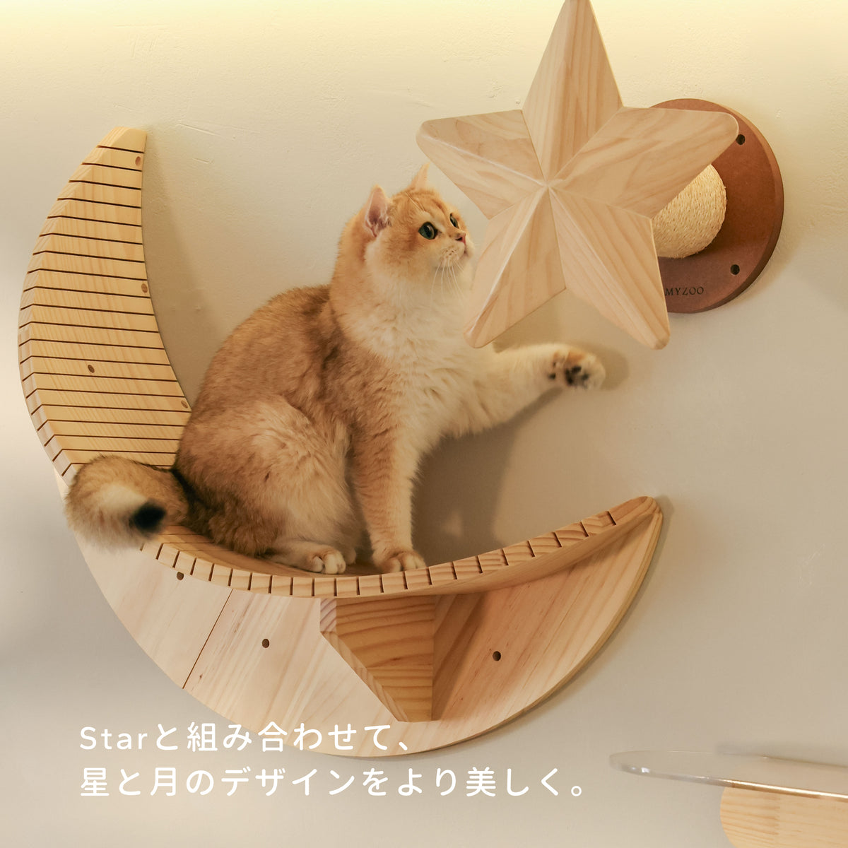 【数量限定】Mini Luna
