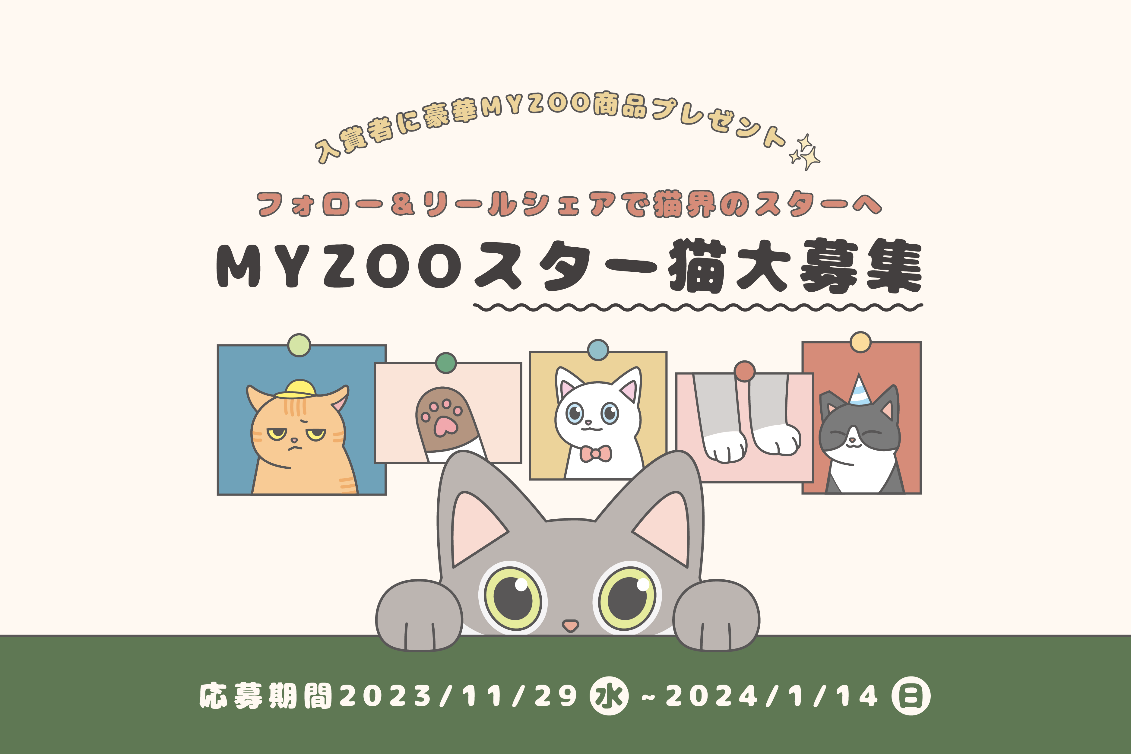 MYZOO | キャットステップ・猫用ベッド通販