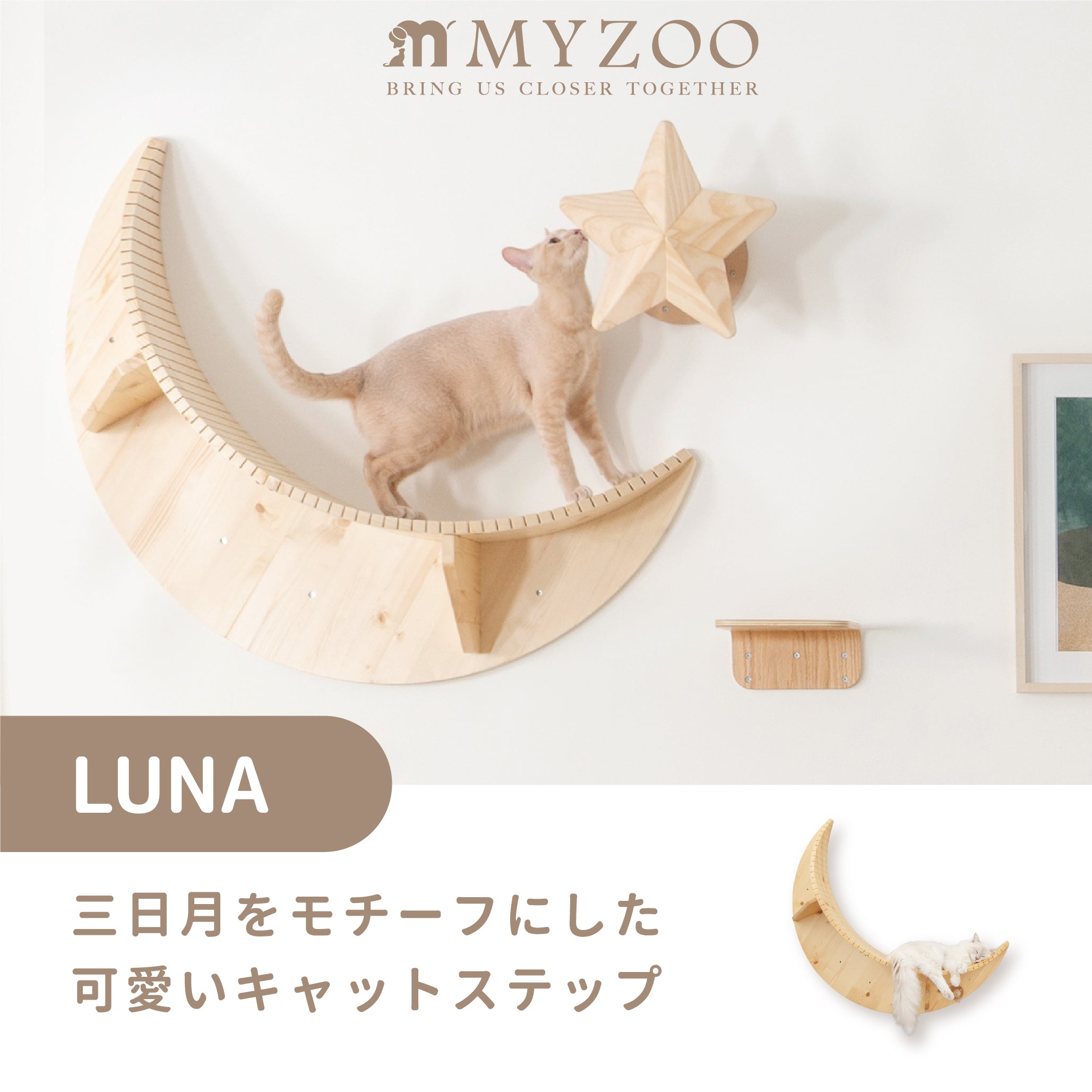 キャットステップ】MYZOO-LUNA